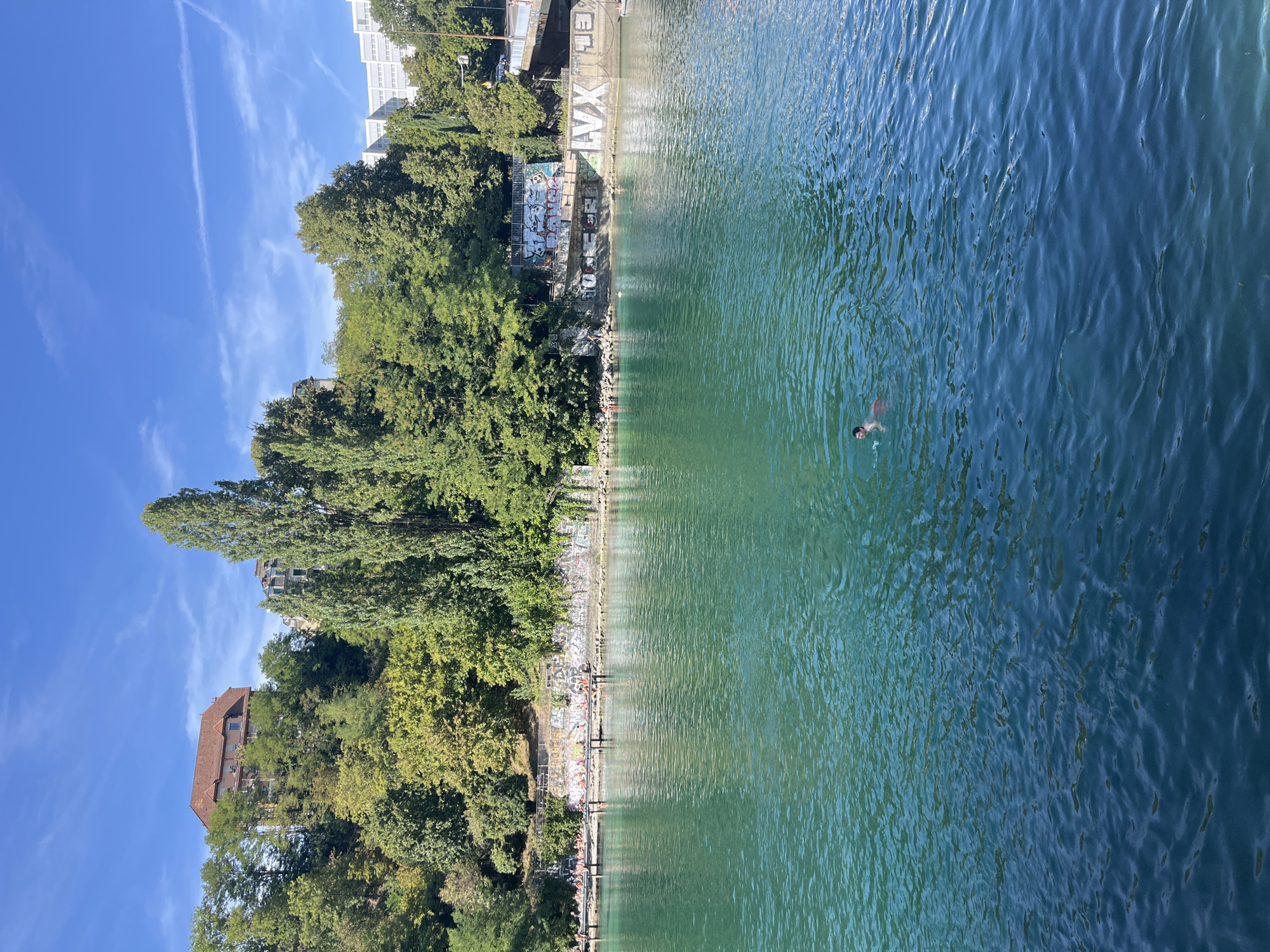 The image depicts the Rhône River in Geneva, Switzerland, on a clear, sunny day. A lone swimmer, wearing red shorts, is visible in the turquoise water, in the foreground. In the middle ground, a concrete embankment lines the river, adorned with graffiti. Several people are seen sunbathing and sitting on the embankment and a wooden pier. Beyond the embankment, a dense green forest covers the hillside. Buildings, including a red-roofed structure and a modern white building, are visible nestled within the trees and on the higher ground. The sky is a vibrant blue with a few wispy clouds.