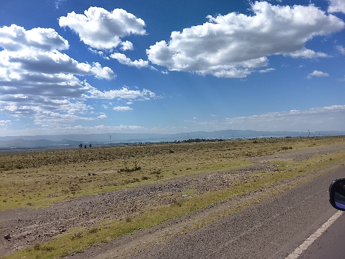 The image displays an expansive outdoor landscape under a bright blue sky partially obscured by numerous white cumulus clouds. The foreground on the right features a segment of a paved road with a white broken line marking the edge, and the dark housing of a vehicle's side mirror is visible in the bottom right corner. Adjacent to the paved road, a gravel shoulder transitions into an unpaved dirt track characterized by reddish-brown earth and tire imprints. The immediate ground cover consists of sparse, dry, yellowish-green vegetation and scattered debris.
The mid-ground comprises a vast, flat to gently rolling plain covered with dry, light brown and green scrubland. In the distant mid-ground, a significant body of blue water, consistent with a lake or large reservoir, extends horizontally across the scene. Indistinct dark figures, estimated to be between three and five individuals, are discernible in a cluster on the terrain towards the left, prior to the water body. Additional small, scattered dark forms are vaguely visible closer to the water's edge.
The background includes hazy, distant mountainous terrain along the horizon. Overhead power transmission towers are faintly visible in the far distance, positioned above the water. The scene presents a rural or semi-arid environment under clear daylight conditions. The specific location in Kiambu Township ward, Kenya, cannot be conclusively determined from the visual information provided.