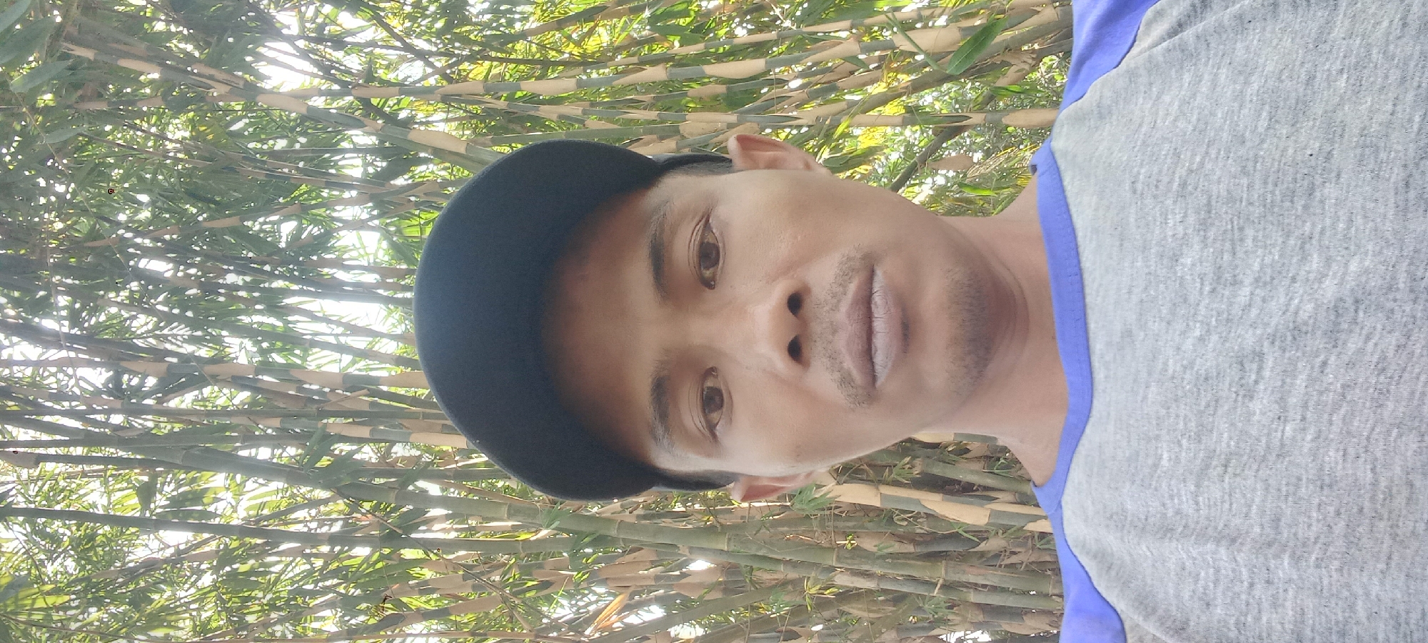 A selfie taken by a person with dark skin, a light brown complexion, and short, dark hair, wearing a black baseball cap and a grey t-shirt with purple raglan sleeves. The person is positioned in the center of the frame, looking directly at the camera with a neutral expression. The background consists of a dense grove of bamboo trees with green and brown stalks, and lush green leaves. The sunlight filters through the bamboo, creating a dappled lighting effect. The image appears to have been taken outdoors in a rural or natural setting. Based on the provided information, the location is Sidamulya, Indonesia.