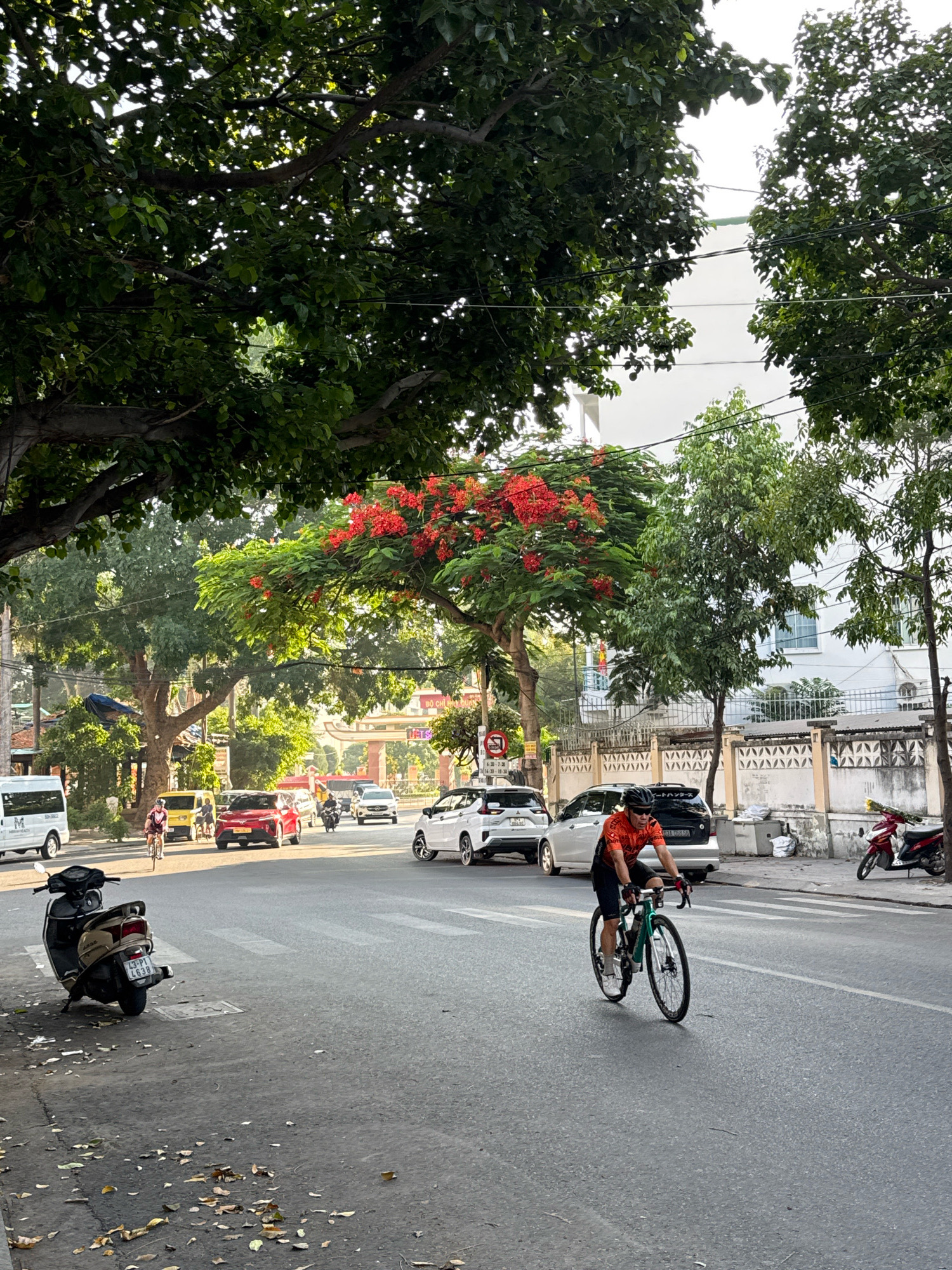 A cyclist, wearing an orange and black jersey, black shorts, and a black helmet, rides a green bicycle down a paved road in Nha Trang, Vietnam. The cyclist is in the foreground, with the road stretching out ahead. Trees with lush green leaves and bright red flowers line the street, casting shadows on the road. Several cars and a white van are visible in the background, along with a parked scooter on the side of the road. A white building with windows is visible behind a metal fence. The sky is bright, indicating it is daytime.