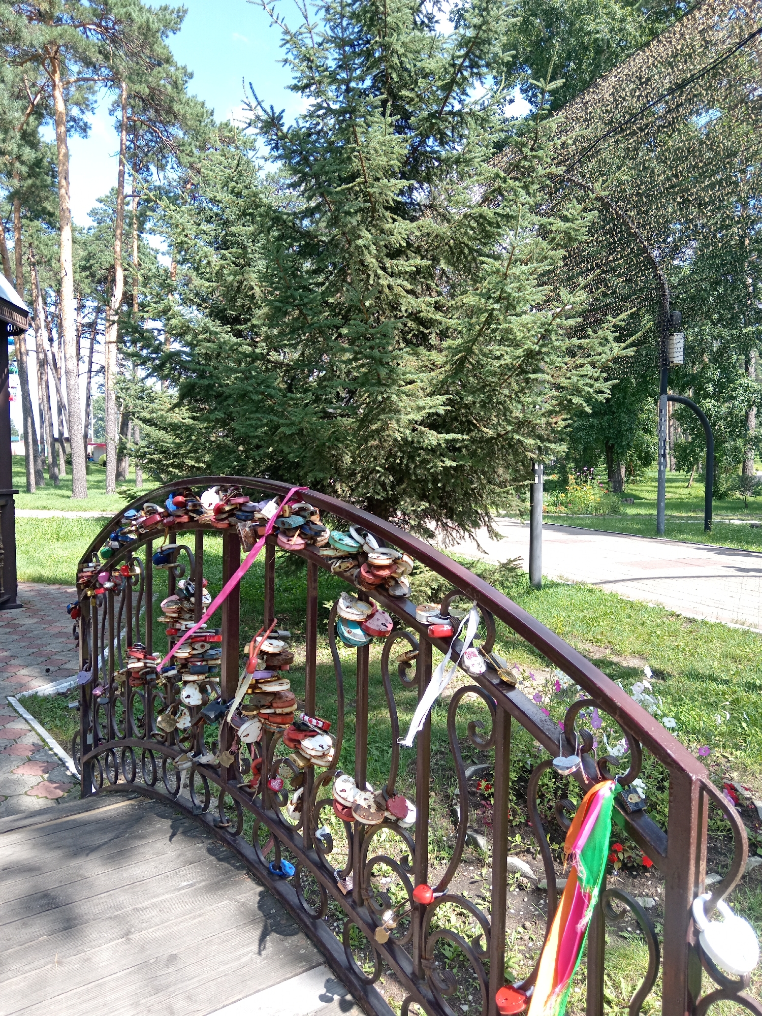 The image depicts a decorative metal bridge railing adorned with numerous padlocks and a few colorful ribbons. The bridge is situated in a park-like setting with lush green grass, trees, and a paved walkway visible in the background. The railing itself is made of dark metal with ornate scrollwork and is densely covered with an assortment of padlocks of various shapes, sizes, and colors, suggesting they are love locks, a common tradition. A bright pink ribbon is draped across the railing, and a multi-colored fabric ribbon hangs from the lower section. The wooden surface of the bridge is visible in the foreground. In the background, tall pine trees and other deciduous trees create a natural canopy, and a lamppost with a decorative top is visible. The overall impression is one of a public outdoor space, likely a park, with elements related to romantic traditions. This scene is located in Belogorsk, Russia.
