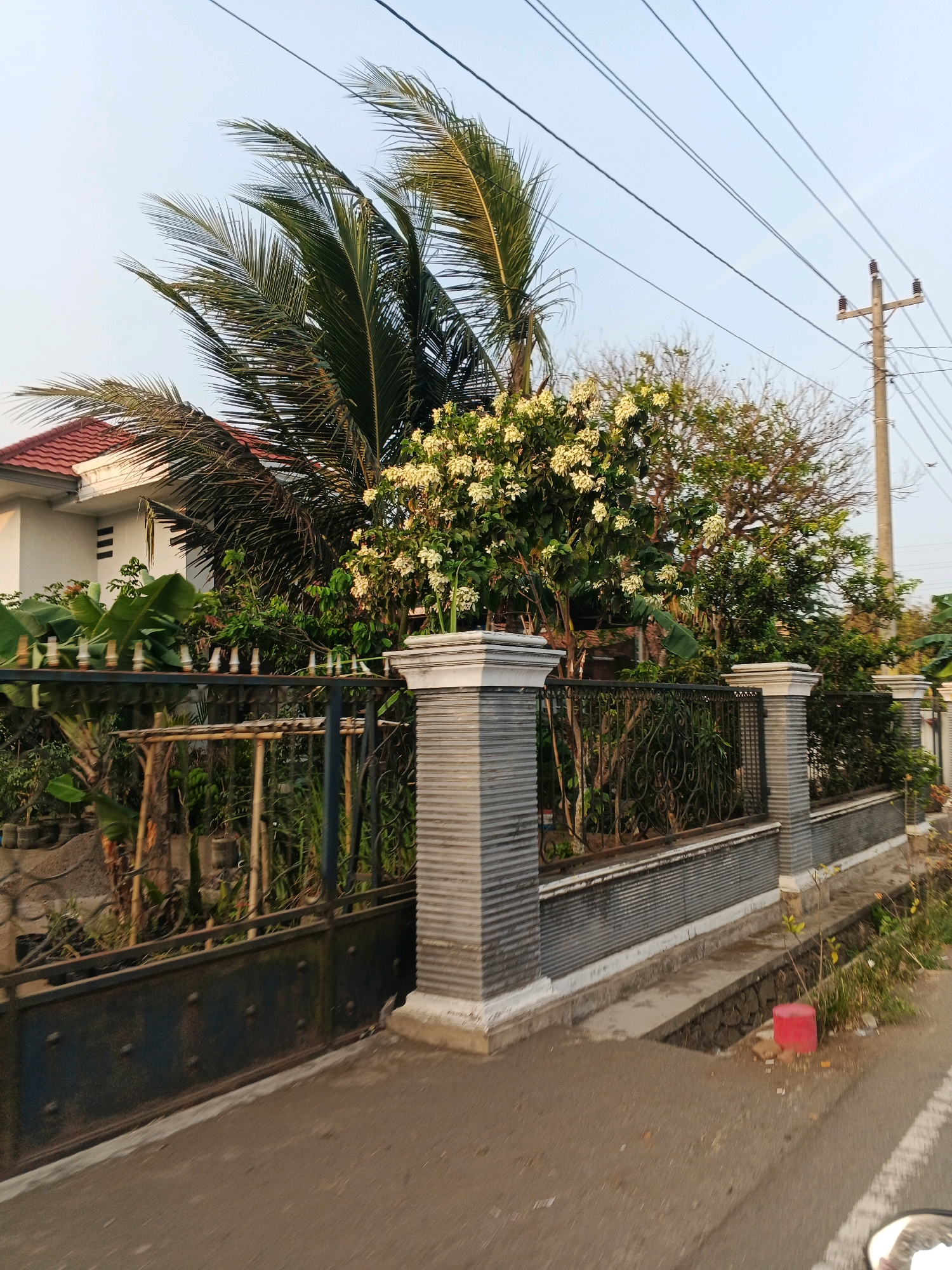 The image depicts a street scene in Cilacap, Indonesia, featuring a residential property with a white house and a red tile roof. A black metal gate and a decorative gray stone fence with ornate metalwork line the front of the property. Lush vegetation, including palm trees and flowering bushes, flourishes behind the fence. Utility poles and overhead wires are visible in the background, indicating the presence of electrical infrastructure. A narrow concrete ditch runs alongside the road, with a small red object, possibly a cap or marker, resting near its edge. The road surface is asphalt, and the overall environment suggests a tropical or subtropical climate.