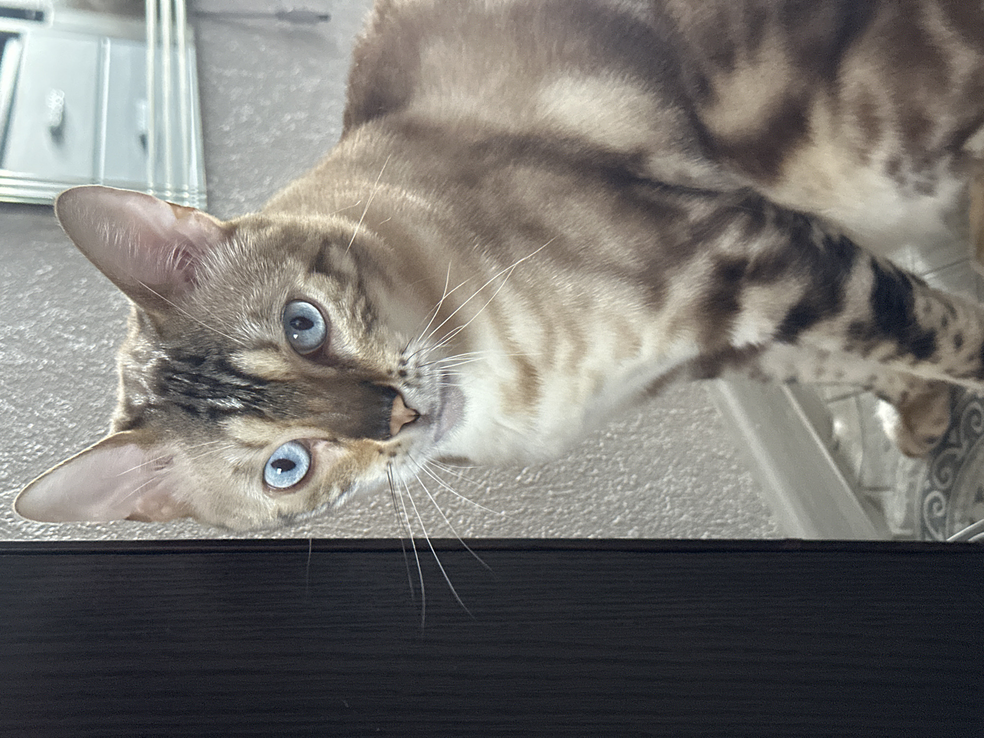 A medium shot photograph captures a Bengal cat with striking blue eyes, positioned to the right of a dark brown vertical surface, likely a door or furniture. The cat's fur displays the breed's characteristic rosettes and marbling in shades of tan and dark brown. Its head is tilted slightly, and its gaze is directed forward and slightly to the left. The background features a textured gray wall and a blurred reflection of what appears to be a mirrored dresser or wardrobe with drawers. The floor beneath the cat is tiled with a patterned design. The overall environment suggests an indoor setting, potentially a residential interior in Energetik, Russia, though there are no specific markers to confirm this location.
