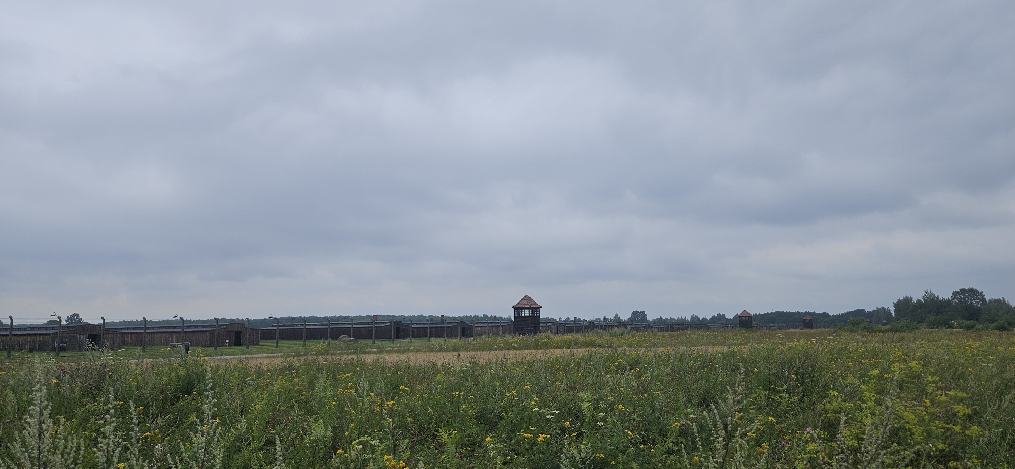 The image shows a landscape view of Auschwitz-Birkenau Memorial and Museum in Brzezinka, Poland. A long wooden fence with barbed wire tops stretches across the middle ground, punctuated by guard towers. Several wooden barracks are visible behind the fence. In the foreground, a field of tall grass and wildflowers extends towards the viewer. The sky is overcast with gray clouds. The scene is devoid of any human presence.