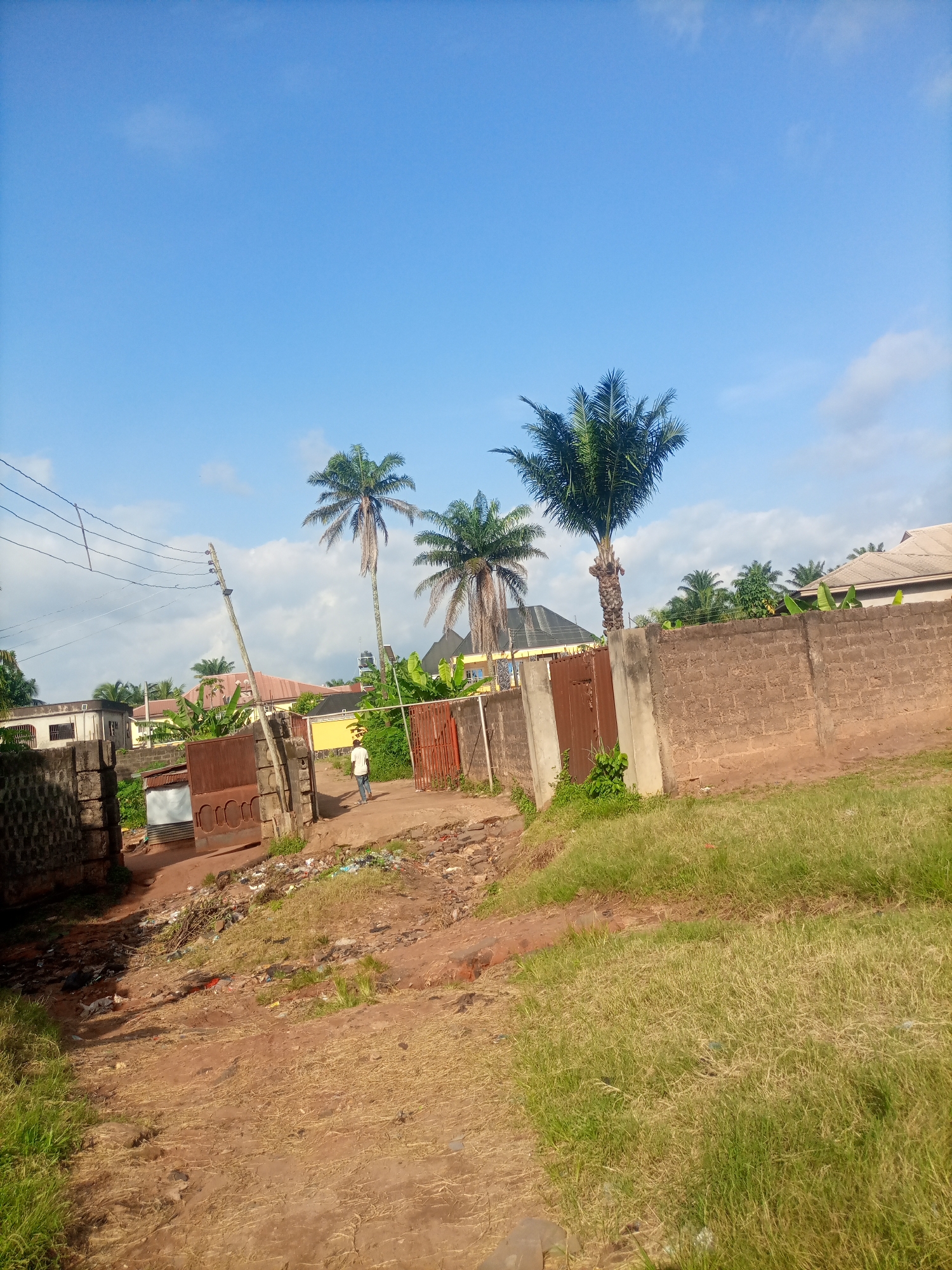 The image depicts a street scene in Nkpor, Nigeria. The foreground is dominated by a dirt path and overgrown grass, with scattered debris. In the middle ground, a man walks away from the camera towards a rusted metal gate and a brick wall. Behind the wall, several palm trees stand tall against a bright blue sky with scattered clouds. Buildings with red and yellow roofs are visible in the background, along with more palm trees and lush greenery. Overhead power lines and a utility pole are present on the left side of the image. The overall impression is of a somewhat unkempt, residential area in a tropical climate.