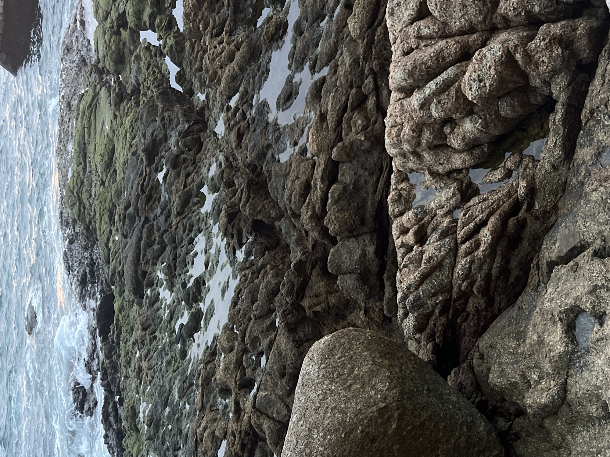 The image depicts a rocky shoreline with the ocean in the background. The rocks are uneven and appear to be covered in patches of green algae in some areas. Small pools of water are visible among the rocks. The water is a light blue-green with gentle waves lapping at the shore. In the foreground, there are larger boulders and more rugged rock formations. The overall scene suggests a natural coastal environment. The location is identified as the city of Karon, Thailand.