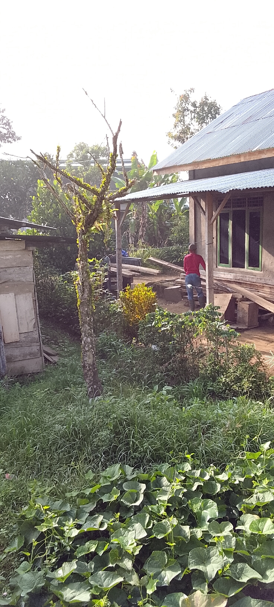 A person in a red shirt and blue pants is standing in front of a building. The person is facing away from the camera. The building is made of concrete and has a metal roof. There are some trees and plants around the building. The scene is outdoors and appears to be in a rural or suburban area. The location is in the city of Padang Dalom, Indonesia.