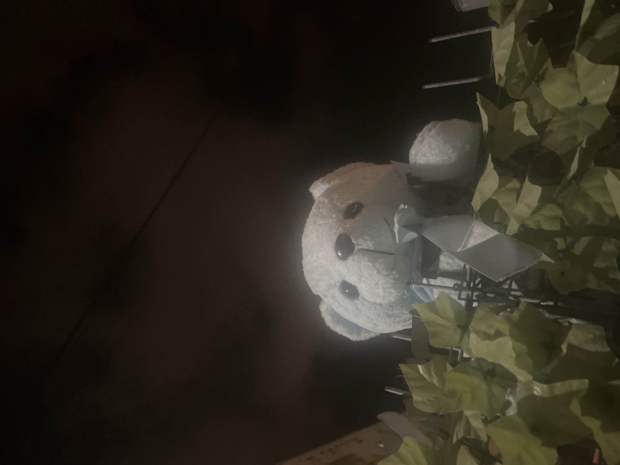 A light blue teddy bear with a bow tie is peeking out from behind artificial green foliage, likely positioned on a balcony or fence. The teddy bear has black eyes and a black nose. The background is dark, suggesting it is nighttime. The scene is set in Or Akiva, Israel.