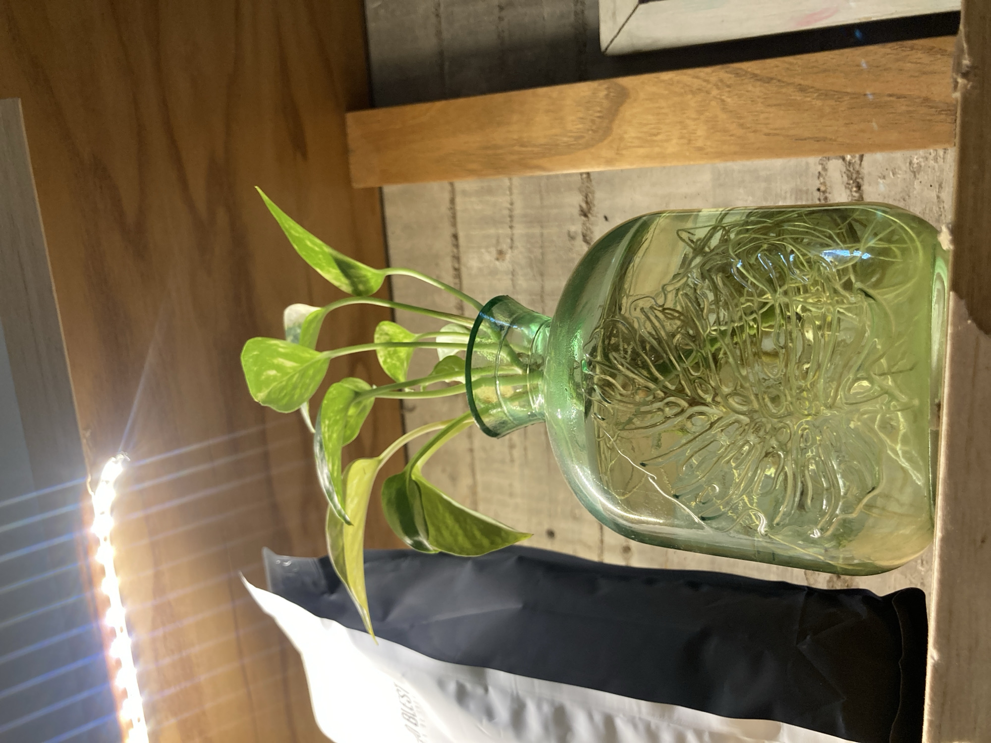 The image displays an indoor scene featuring a plant, likely a Pothos, propagating in a light green glass bottle. The plant has several cuttings with green and yellow variegated leaves emerging from the bottle's neck. Inside the square-shaped glass bottle, numerous translucent, coiled wires or string lights are visible, illuminating the water and the submerged plant roots.
The bottle rests on a light-colored wooden surface or shelf, with another horizontal wooden beam visible further back. Behind the plant and shelf is a textured, grey wall, possibly concrete. To the far left, a bright, vertical LED strip light casts a strong glow and distinct horizontal light streaks across a wooden panel or wall in the background.
Below the shelf, a black fabric item, possibly a bag or folded cloth, is partially visible. Beneath that, a white package or bag is present, oriented upside down, with a partial word "BLISS" (appearing as "SSTB") faintly discernible on its surface. The arrangement suggests a decorative or plant care setup, well-lit by the artificial light source.