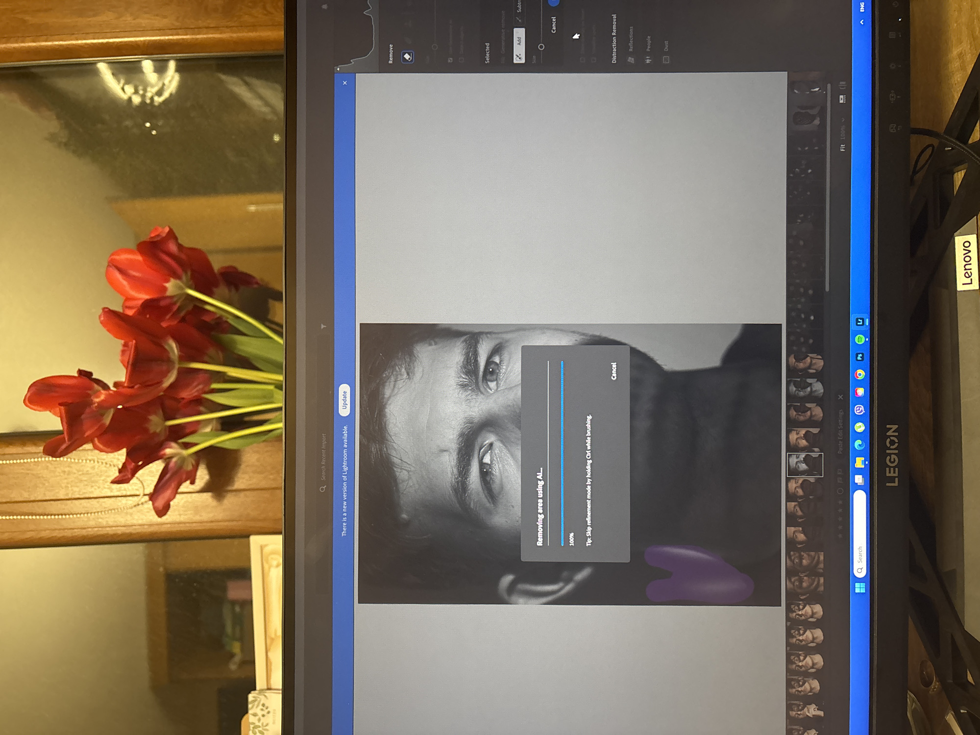 The image shows a close-up of a Lenovo Legion laptop screen displaying Adobe Lightroom software. On the Lightroom interface, a black and white portrait of a man is being edited using AI for distraction removal. A progress bar indicates the process is at 100%. A purple object sits near the bottom of the screen. To the left of the laptop, red tulips are in a vase on a reflective surface. No evidence indicates it's in the city of Plovdiv, Bulgaria.
