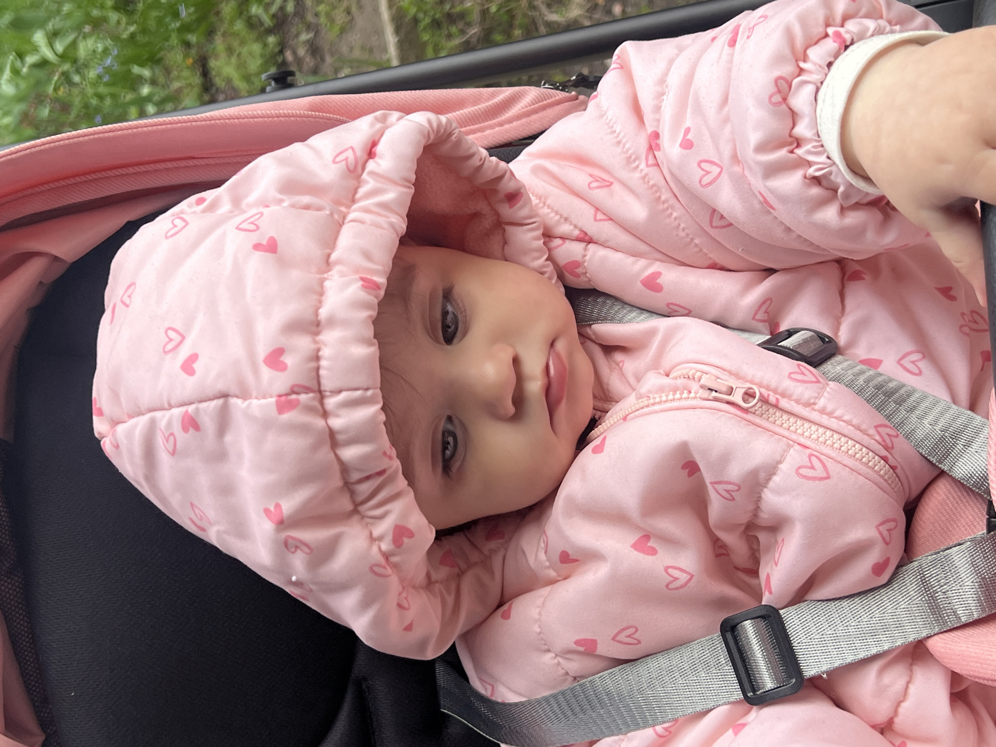 A baby wearing a pink padded snowsuit with a hood featuring small pink hearts is lying in a pink stroller. The baby is secured with grey safety straps. The background includes greenery and a black stroller frame. There is no evidence to suggest the image was taken in Elena, Bulgaria.