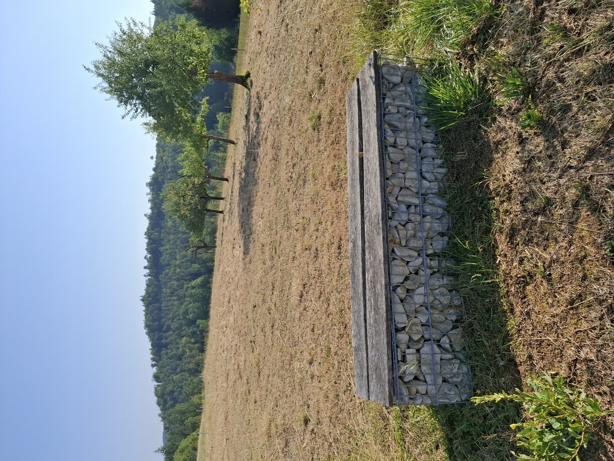 In Ramlinsburg, Switzerland, a gabion bench is positioned in a sunlit, dry, grassy field. The bench features a seat made of weathered wooden planks atop a rectangular structure filled with gray stones encased in wire mesh. In the background, a line of deciduous trees with green foliage stands against a clear blue sky. The landscape beyond is gently rolling hills covered in lush green forest.