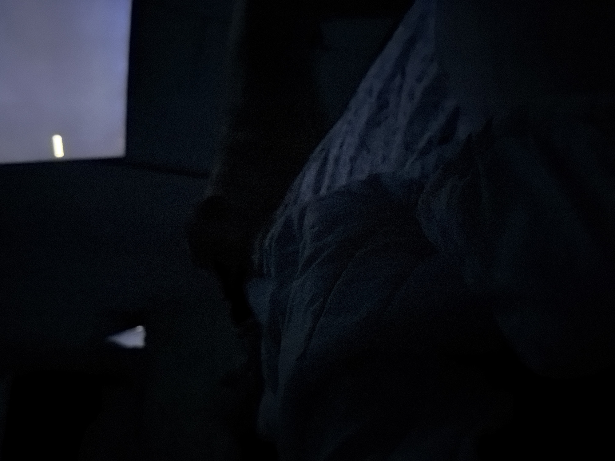The image captures a dimly lit indoor scene, dominated by darkness with a single significant light source. In the upper left quadrant, a bright, rectangular screen emits light, suggesting a television, computer monitor, or projector. A distinct, vertical, glowing white line is visible on this screen, resembling a cursor or a minimal graphic element.
The foreground and much of the right side of the image are filled with a large, dark, textured object, which appears to be a crumpled blanket, duvet, or folded fabric, possibly on a bed or sofa. The folds and undulations of the fabric are discernible despite the low light.
The rest of the environment is shrouded in deep shadow, making it difficult to identify specific objects or furniture. A very faint, small, light-colored blur can be seen below the screen on the left, but its nature is unclear.
No individuals are visible in the frame, and there is no discernible text. The overall atmosphere suggests a nighttime or very low-light setting, likely indoors, where someone might be relaxing or watching something on a screen, possibly from a comfortable position under a blanket.
