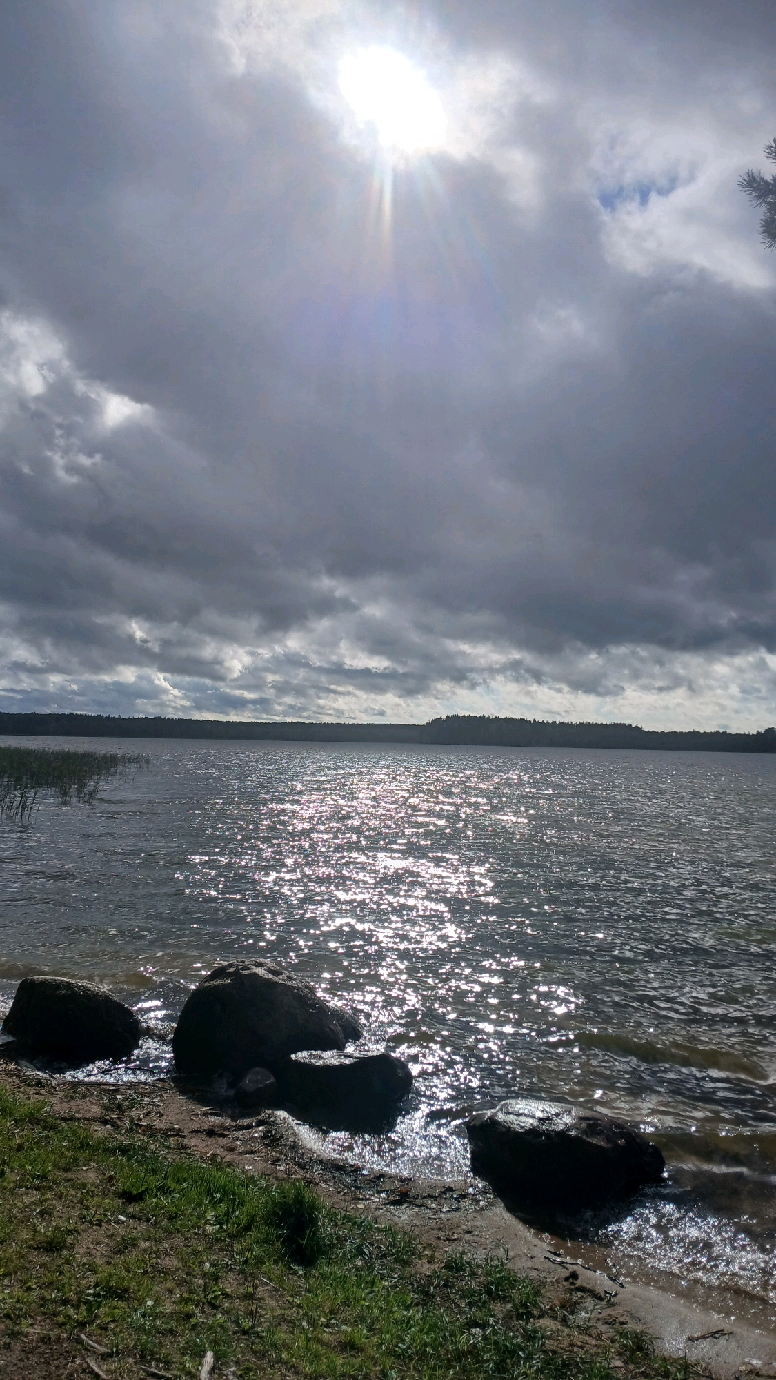 The image depicts a scenic view of Lake Visaginas in Visaginas, Lithuania. The foreground features a sandy shore with scattered rocks and sparse green grass. The lake itself is calm, with sunlight glinting off its surface, creating a shimmering effect. In the distance, the opposite shore is lined with a dense forest. The sky is dramatic, with heavy, dark clouds partially obscuring a bright, radiant sun, suggesting an impending or recently passed storm. There are no people or animals visible in the scene. The overall atmosphere is one of natural beauty and tranquility, with a hint of atmospheric drama due to the sky.