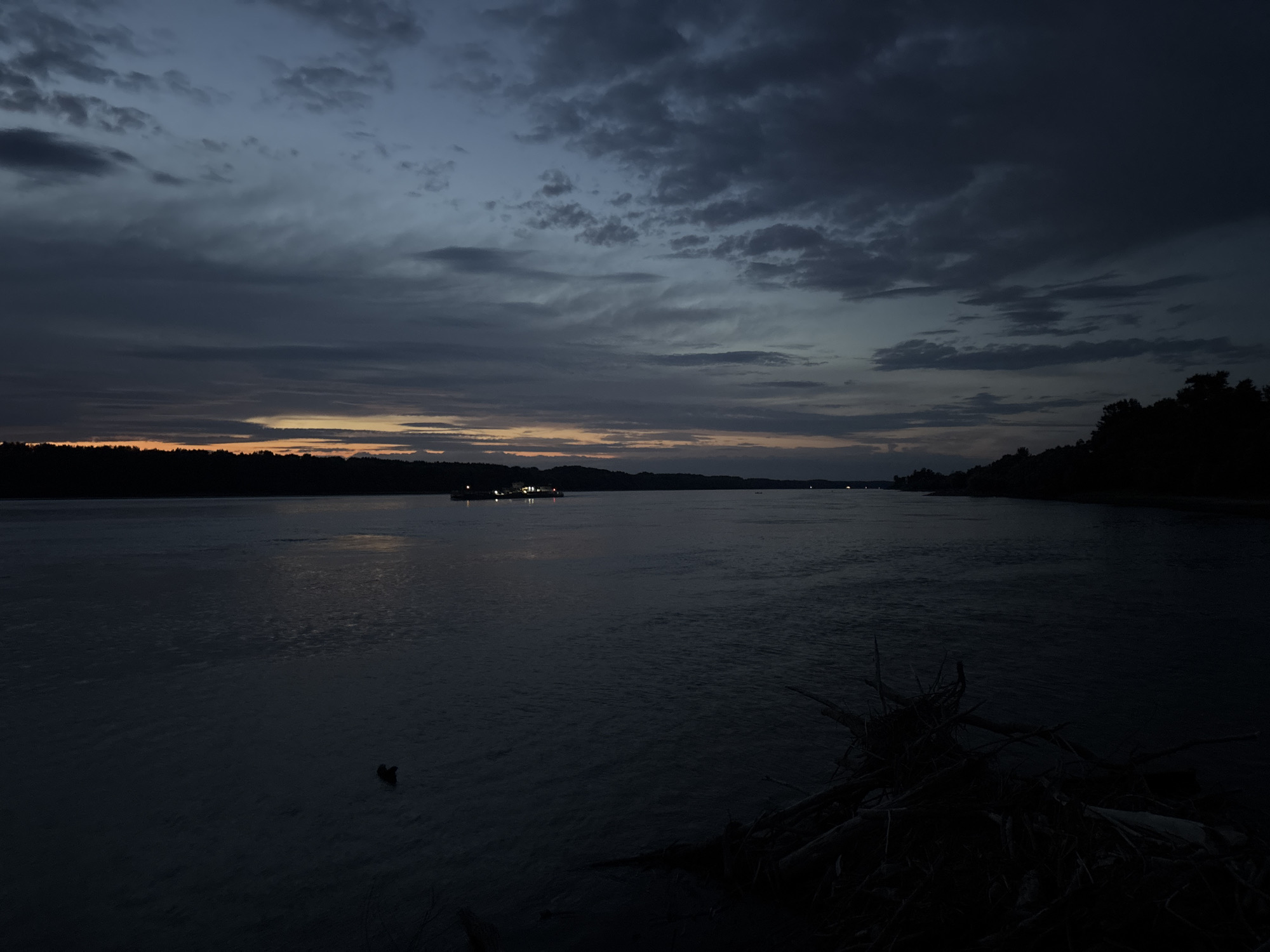 This is a wide, horizontal, dusk photograph of a river scene. The sky is a dark, cloudy blue with hints of orange and yellow on the horizon line, suggesting sunset or sunrise. The water is dark and calm, reflecting the dim light of the sky. On the left side of the river, a silhouetted treeline marks the distant shore. In the middle distance, a barge with lights is visible on the water. On the right side of the foreground, a pile of driftwood and branches is visible on the bank. There is a single duck swimming in the river to the left of the center. The overall impression is one of twilight tranquility. The image does not contain any elements that would indicate its location within the city of Marten, Bulgaria.