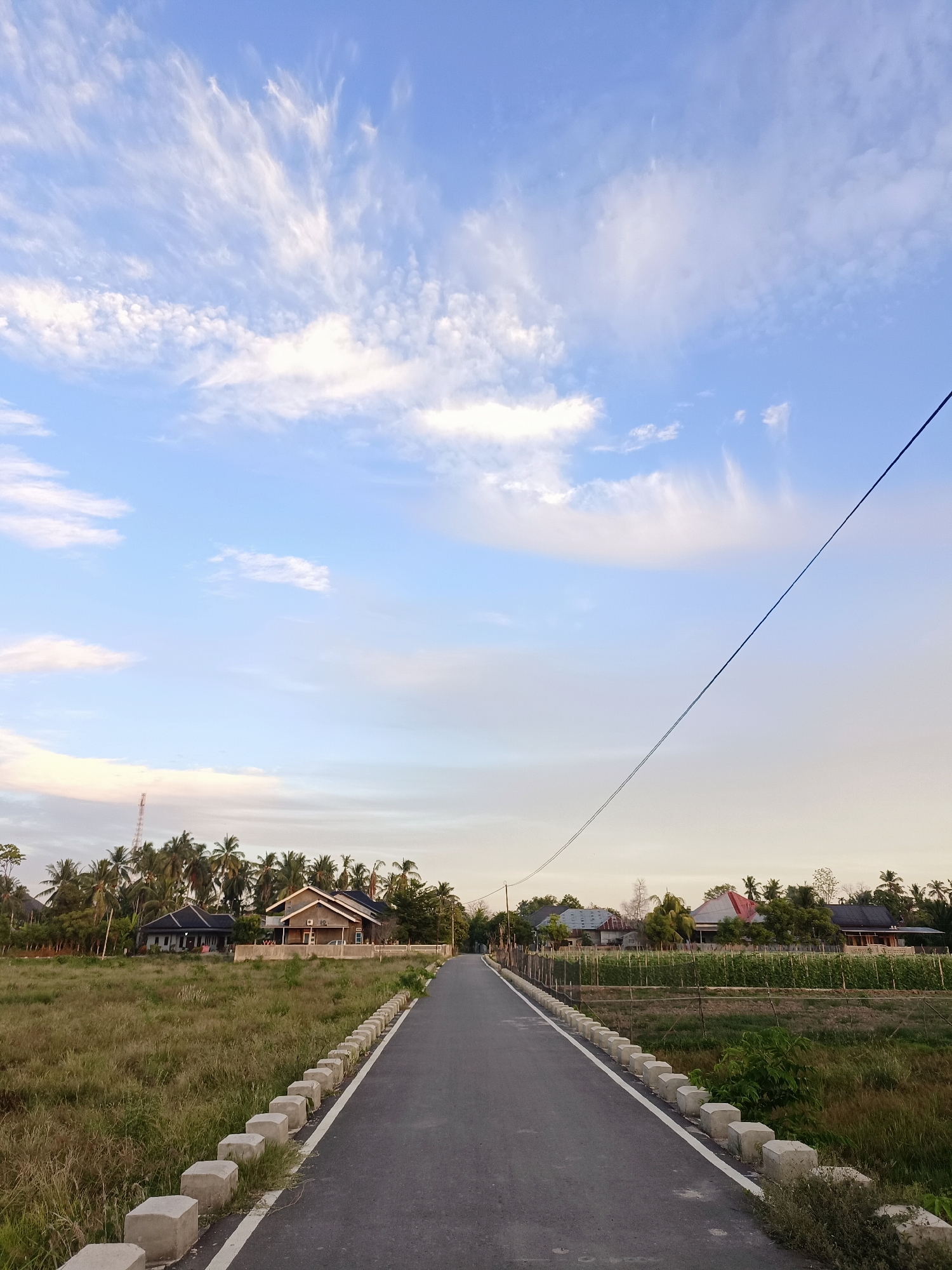 The image depicts a paved road in Meunasah Raya, Indonesia, flanked by concrete barriers and overgrown grass on the left, and cultivated fields on the right. Coconut trees and several houses are visible in the background, suggesting a rural or semi-rural setting. The sky is blue with scattered white clouds, indicative of fair weather. A single power line stretches diagonally across the frame from the upper right to the lower left. The scene appears to be captured during the daytime, likely late afternoon or early evening due to the lighting conditions. There are no people or animals present in the image.