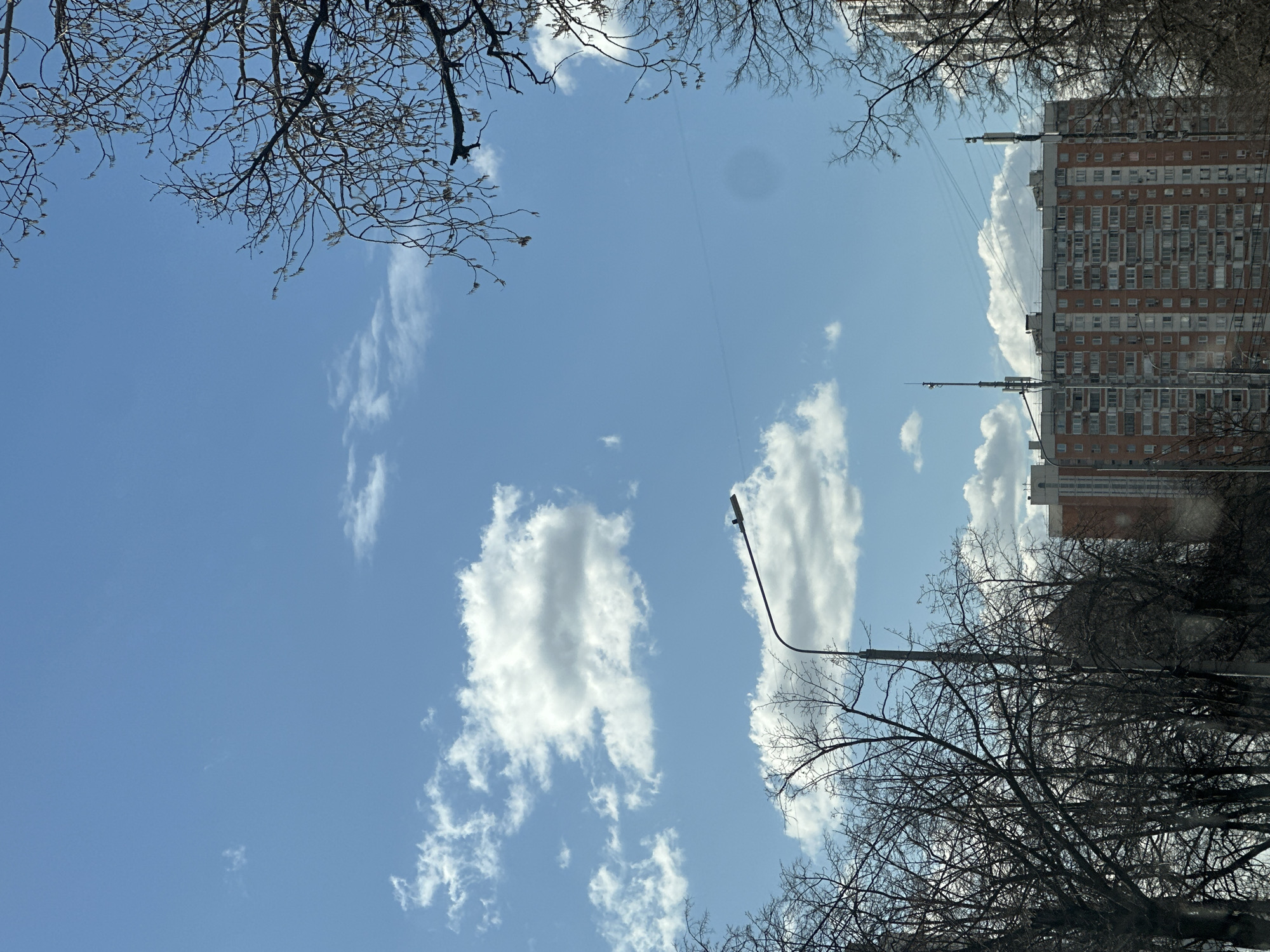 The image shows a view of the sky in Moscow, Russia, framed by bare tree branches. There are scattered cumulus clouds in a blue sky. A tall, red-brick apartment building is visible on the right side, partially obscured by trees and clouds. Two lampposts extend into the sky.