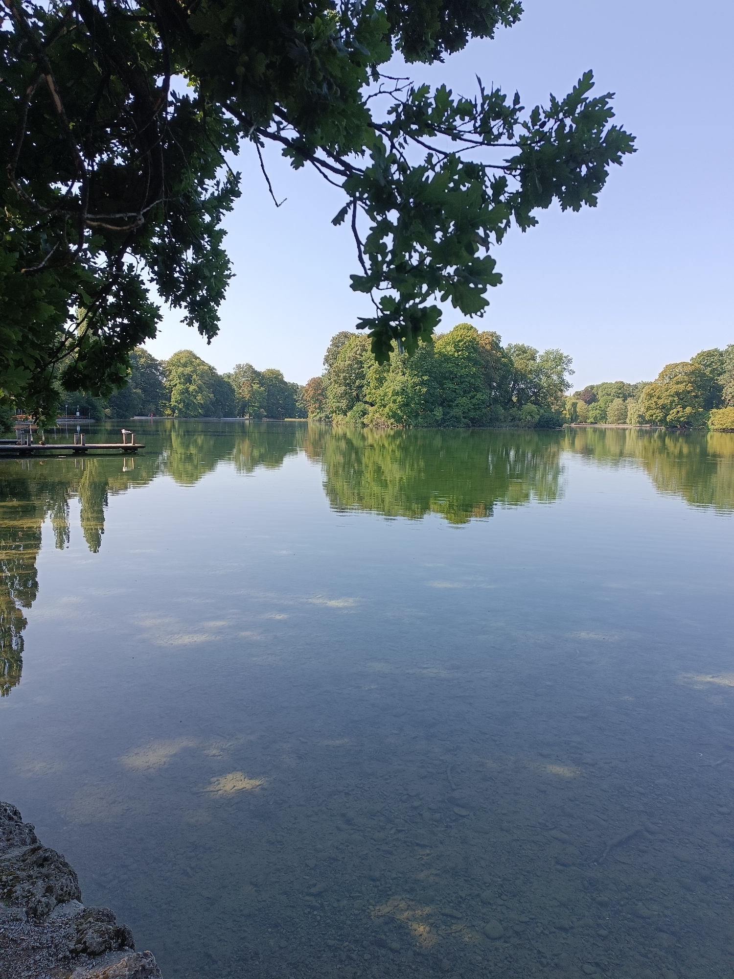 The image shows a serene lake scene on a clear day. In the foreground, a dark-colored, rocky embankment lines the left side of the frame. The lake's surface is calm, reflecting the lush green trees that surround it and the clear blue sky above. The water is transparent enough in the foreground to reveal the rocky bottom beneath. A wooden pier extends into the lake from the left side of the frame, with a couple of birds visible on it. The background is dominated by a dense line of mature trees with full green canopies, creating a natural barrier around the water. The overall impression is one of tranquility and natural beauty. The scene is located at the Olympiapark in Munich, Germany, specifically at the Olympiasee.
