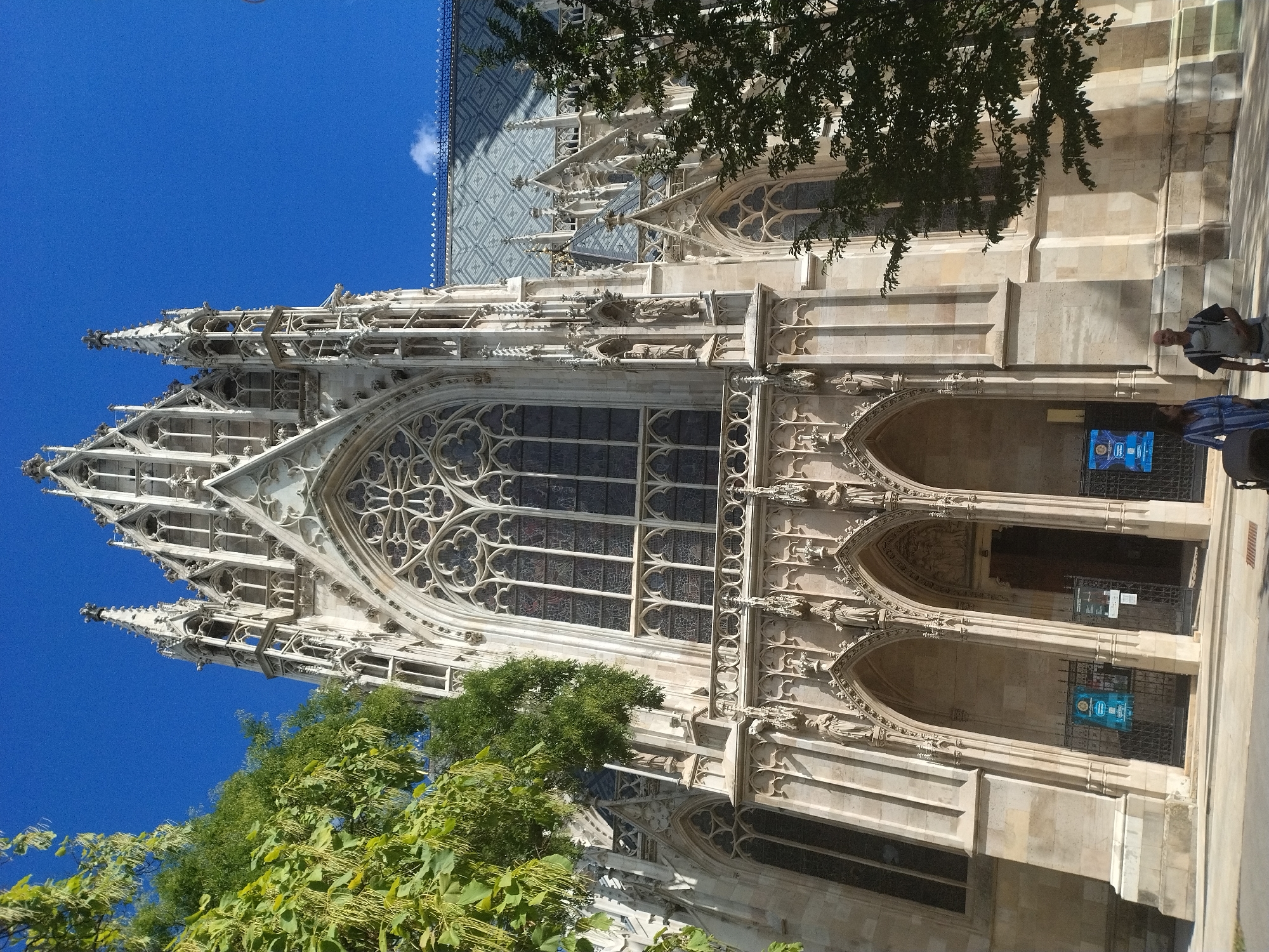 This is a low-angle, full-shot photograph of the Votivkirche in Vienna, Austria. The church, constructed from light-colored stone, features ornate Gothic architecture, including spires, arched windows with intricate tracery, and statues. A large rose window is prominent on the facade. Green trees, one with wispy, light-colored seed pods, partially obscure the view of the church on the left side of the frame. Another tree with darker green foliage is visible on the right. The sky is a clear, bright blue. In the foreground, two individuals are walking away from the camera: a woman in a striped blue and white dress and a man carrying a baby in a carrier on his chest. They are on a paved walkway in front of the church's entrance, which has arched doorways. There are black metal gates and informational posters in front of the entrances. The sunlight casts shadows on the ground.