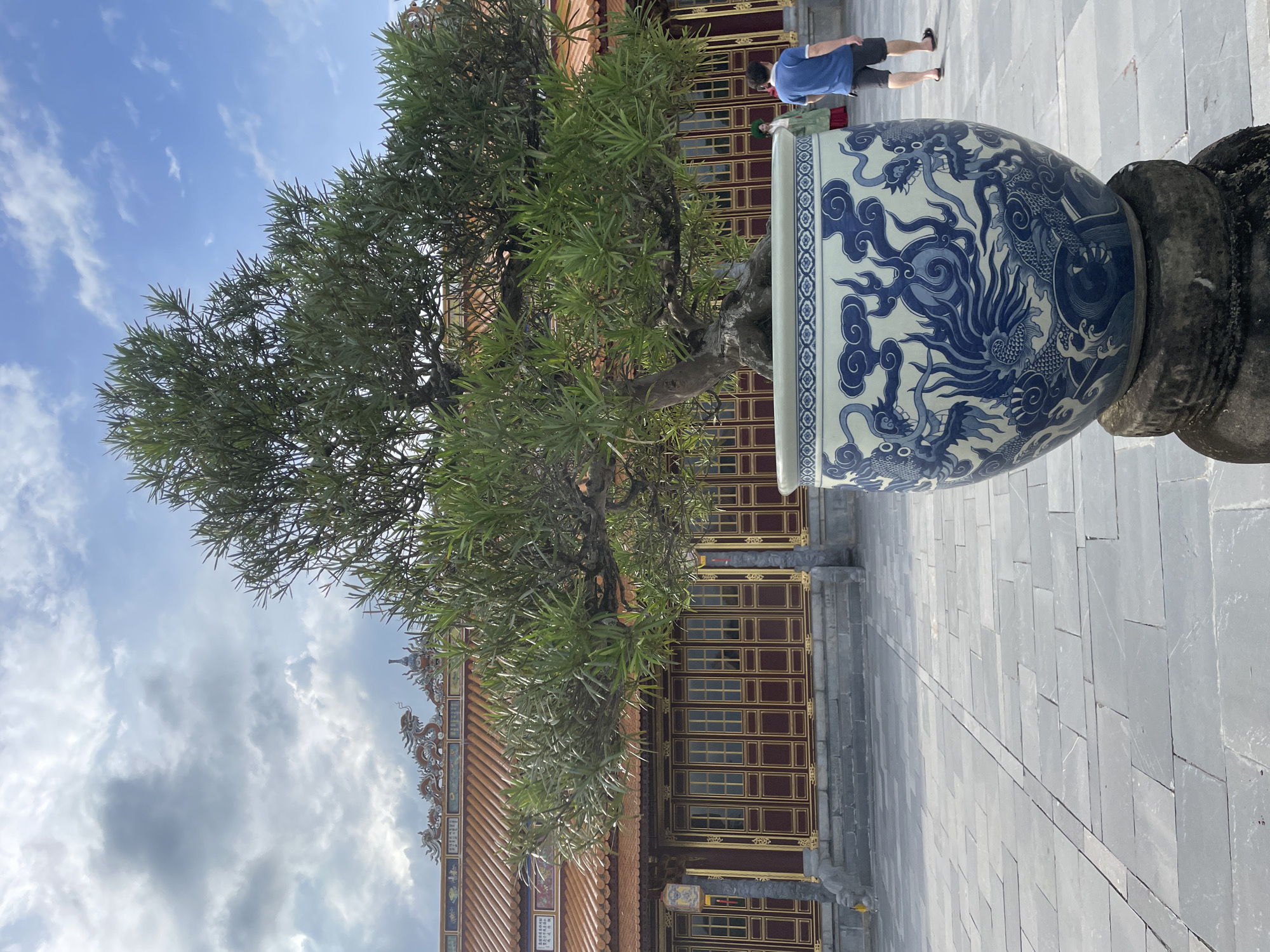 A large, mature tree in a blue and white patterned ceramic pot stands in the foreground of a courtyard. The pot is decorated with intricate dragon motifs. The tree has a thick, gnarled trunk and a dense canopy of green leaves. Behind the tree, a traditional Vietnamese building with an orange-tiled roof and red doors with gold trim is visible. The building features ornate dragon sculptures along its roofline. The courtyard is paved with large, grey stone tiles. A man in a blue shirt and black shorts is walking away from the camera on the right side of the image, and a woman in a green traditional Vietnamese dress is partially visible behind the tree. The sky is partly cloudy with patches of blue. This scene is likely within the Imperial City of Huế, located in Phú Xuân Ward, Vietnam.