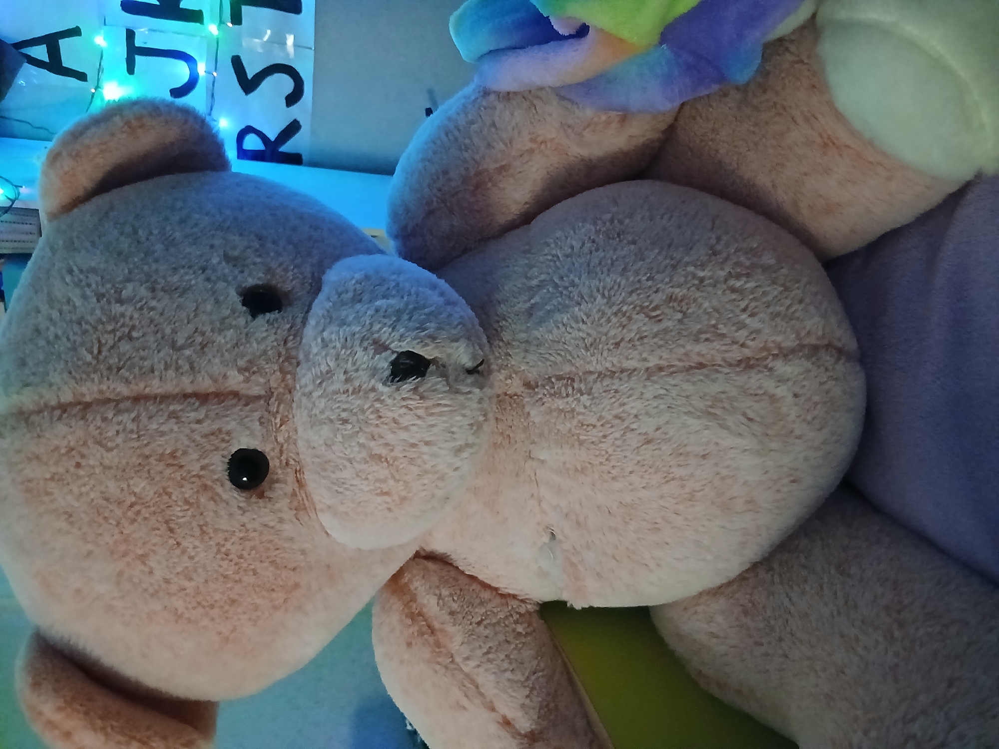 The image shows a close-up, eye-level shot of a large, light pink, plush teddy bear. The teddy bear is lying on its side, facing left. Its head and upper body are in the foreground, with its limbs and back extending into the background. The bear has two black button eyes, a dark snout, and visible ears. Part of a rainbow-colored mane or headdress is visible at the top of the image, connected to the bear's head. The bear's fur is soft and fuzzy.
Behind the bear, in the upper left corner of the image, are some colorful, illuminated letter decorations. The visible letters appear to be "A," "J," "H," and "RST" in black against a white background, lit from behind with blue and green lights. The background also shows a bright blue surface, possibly a table or shelf, and a green surface below it.
No specific activity or event is clearly taking place, other than the teddy bear being positioned for viewing. The lighting suggests an indoor setting, likely with artificial lights from the decorations and possibly ambient room lighting. The time of day is not discernible, nor is any weather information available. There are no people visible in the image. The overall impression is a close-up of a stuffed toy in a decorated setting.