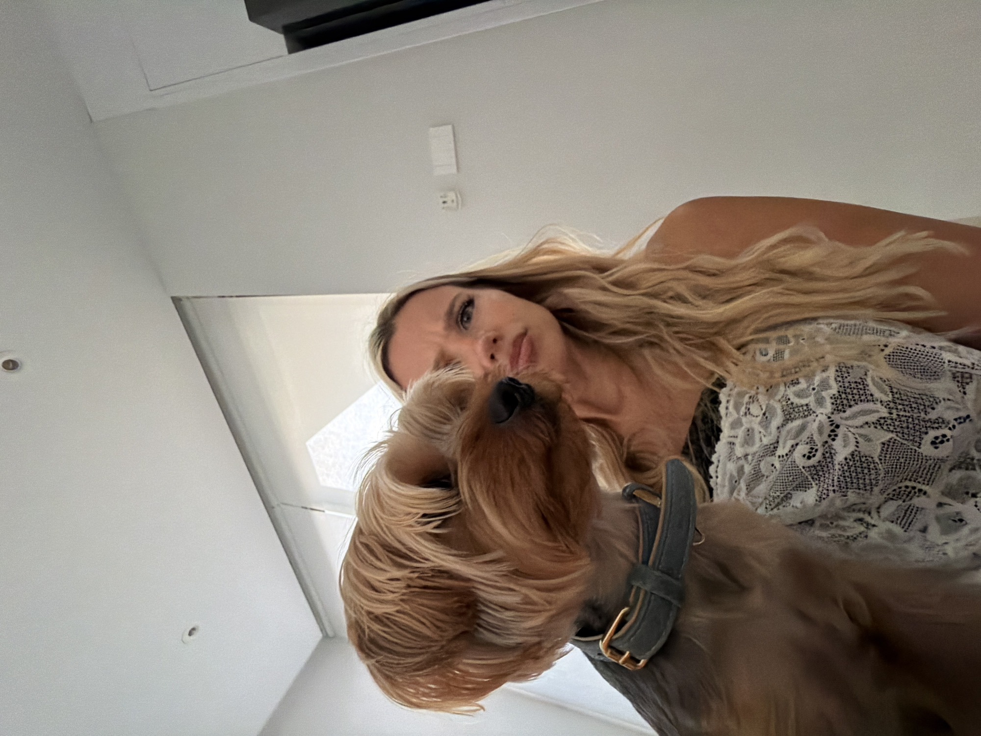 In an indoor scene with white walls and a white ceiling, a woman with long blonde hair is holding a Yorkshire Terrier. The dog, wearing a grey collar with a gold buckle, is positioned in the foreground, facing left and looking away from the camera. The woman, whose face is partially obscured by the dog, is looking at the dog with a questioning or displeased expression. She is wearing a white lace top over a darker garment. The background includes a window with blinds, and electrical outlets and light switches on the wall. The location is not specified as being in Thep Krasatti, Thailand.