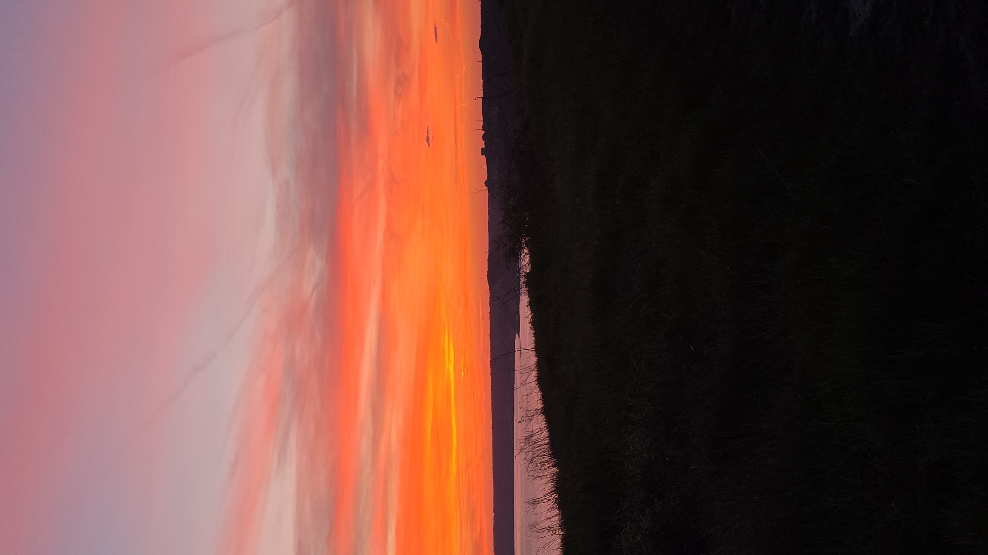 The image captures a vibrant sunset landscape over Balgarevo, Bulgaria, with the scene oriented vertically but clearly depicting a horizontal vista. The upper two-thirds of the frame are dominated by a breathtaking sky, showcasing a dramatic gradient of colors. On the left, the sky transitions from soft lavender and muted pink into intense, fiery oranges and reds towards the right. Streaky, elongated cloud formations are brightly illuminated by the setting sun, creating a dynamic, almost painterly effect across the expanse of the sky.
A sharp, relatively flat horizon line separates the radiant sky from the elements below. Immediately beneath the horizon, a narrow strip of lighter, reflective color suggests a body of water, possibly the Black Sea, reflecting the sky's glow, or a distant, hazy landmass. The lower right portion of the image features a dark, silhouetted foreground, appearing almost black due to being backlit by the intense sunset. This area is likely covered in dense grass or low-lying vegetation.
Along the distant horizon, faint, indistinct silhouettes of what appear to be structures—possibly buildings, poles, or communication towers—are visible, indicating human presence in the far distance. Sparse, dark outlines of small trees or bushes can also be discerned between the foreground and the middle ground. The time of day is undeniably sunset, characterized by the rich, warm hues and the strong contrast between the illuminated sky and the darkened landscape. There are no people or visible text in the image, which conveys a sense of serene natural beauty and tranquility.
