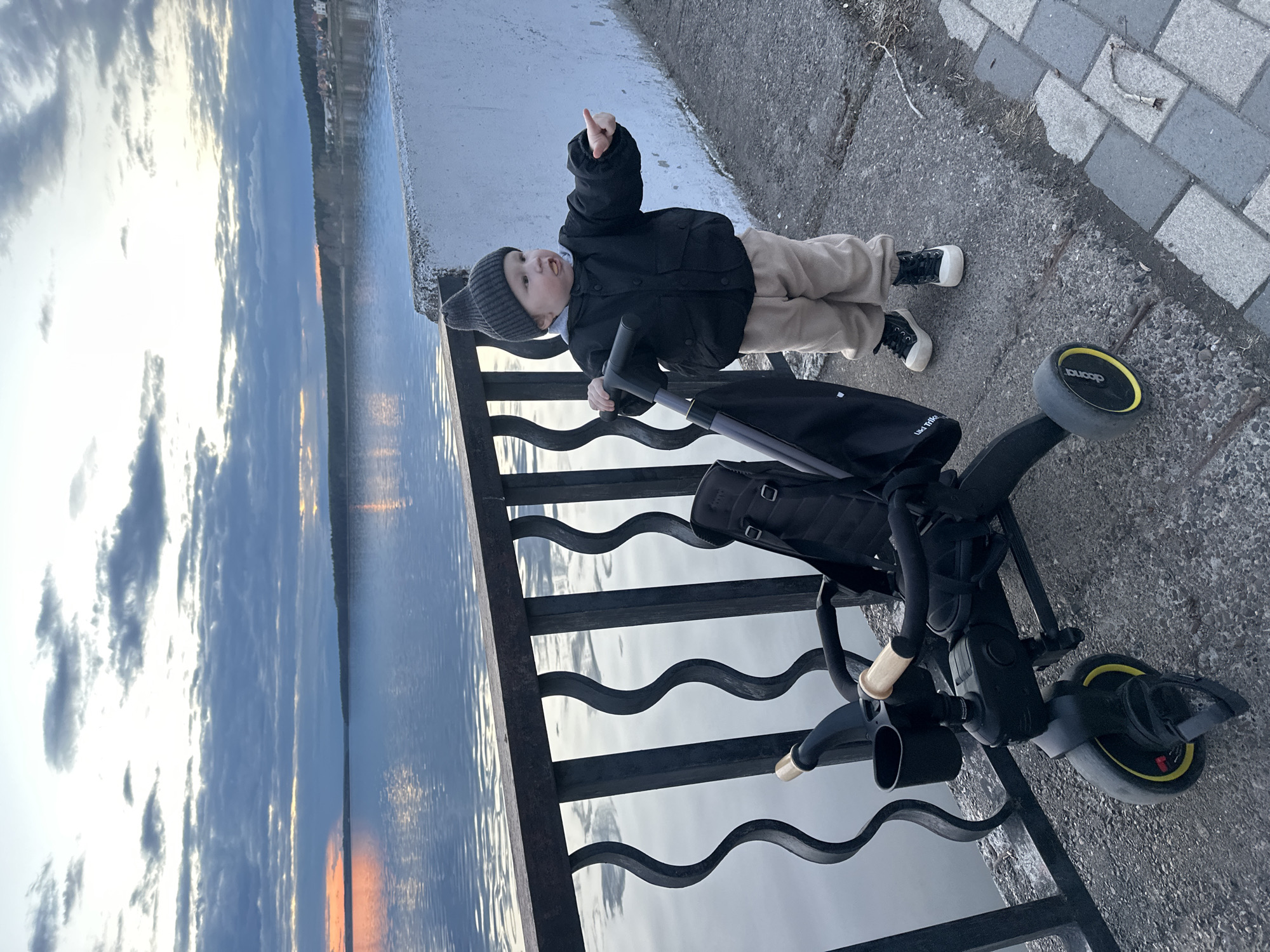 A young child is depicted standing on a paved promenade next to a large body of water, likely the Votkinsk Reservoir in Votkinsk, Russia. The image appears to be taken during late afternoon or early evening, with a partially cloudy sky and hints of a sunset glow reflecting on the water.
The child, dressed in a black winter jacket, light beige pants, a dark knit hat, and black and white sneakers, is positioned facing the water. They are holding onto the handle of a black stroller-tricycle, which has yellow accents on its wheels. Visible text on the tricycle includes "Doona" on one wheel and part of "Liki Trike." The child's right hand is raised, pointing outwards, suggesting curiosity or an attempt to draw attention to something beyond the frame or across the water.
A dark metal fence with a distinctive wavy pattern runs along the edge of the promenade, separating it from the water. The water's surface shows reflections of the sky, which ranges from bright cloud formations to darker, more ominous clouds. The distant shoreline features a strip of land with trees and what appear to be some small buildings or a settlement. The overall scene suggests a cool day, consistent with the child's warm attire.
