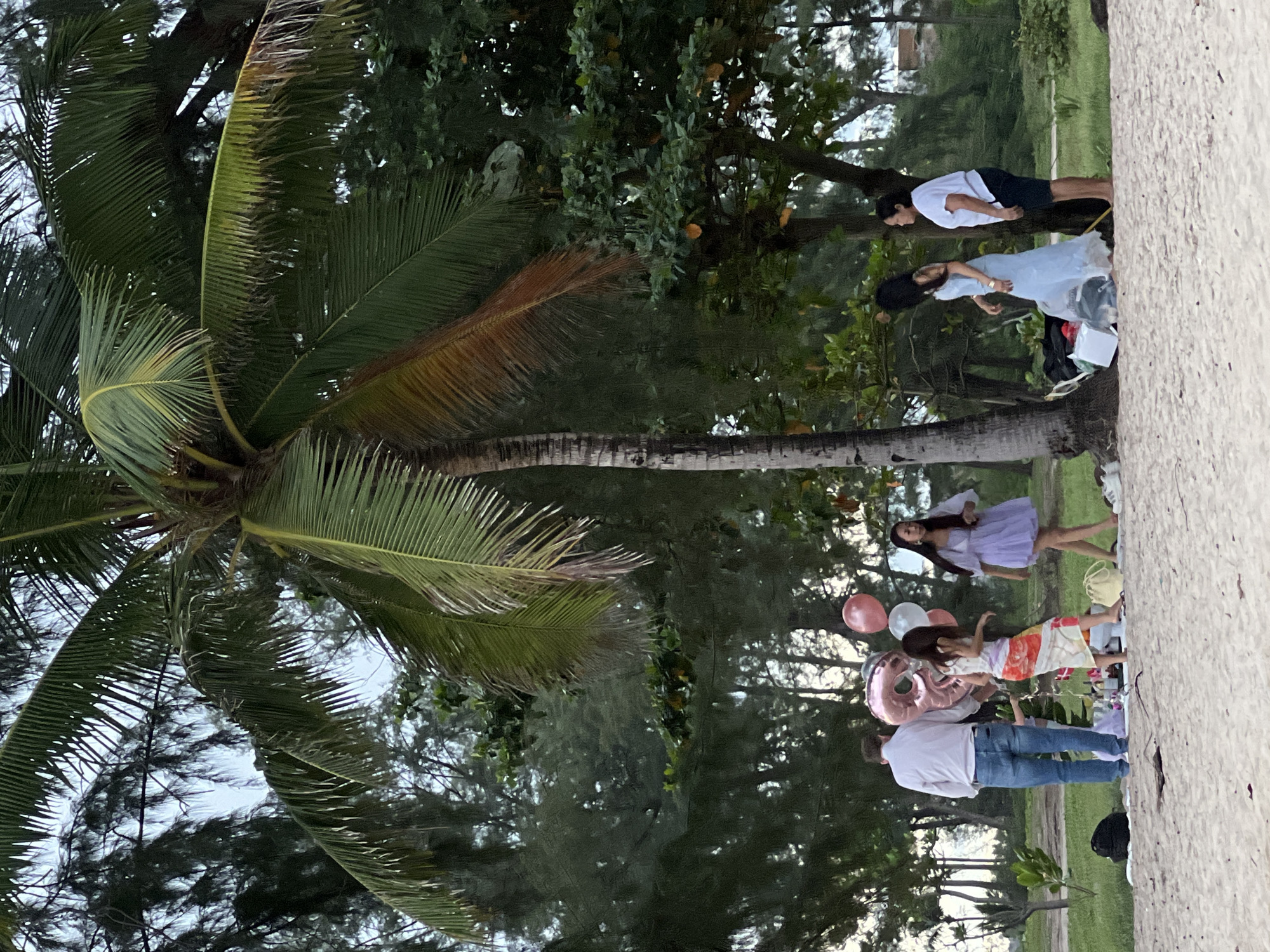A group of five people is gathered on a sandy beach under a palm tree. A man in a white collared shirt and blue jeans stands to the left, facing away from the camera. Next to him, a woman in a colorful, patterned skirt and white top is partially visible, holding a large pink number "8" balloon and other balloons. Another woman in a light purple dress walks towards the right. Further to the right, a woman in a light blue dress is standing near a pile of items. A woman in a white t-shirt and dark shorts stands to the far right. The environment includes palm trees, other trees with dense foliage, and a cloudy sky. There are picnic items and bags on the sand. The scene appears to be a celebration or gathering.