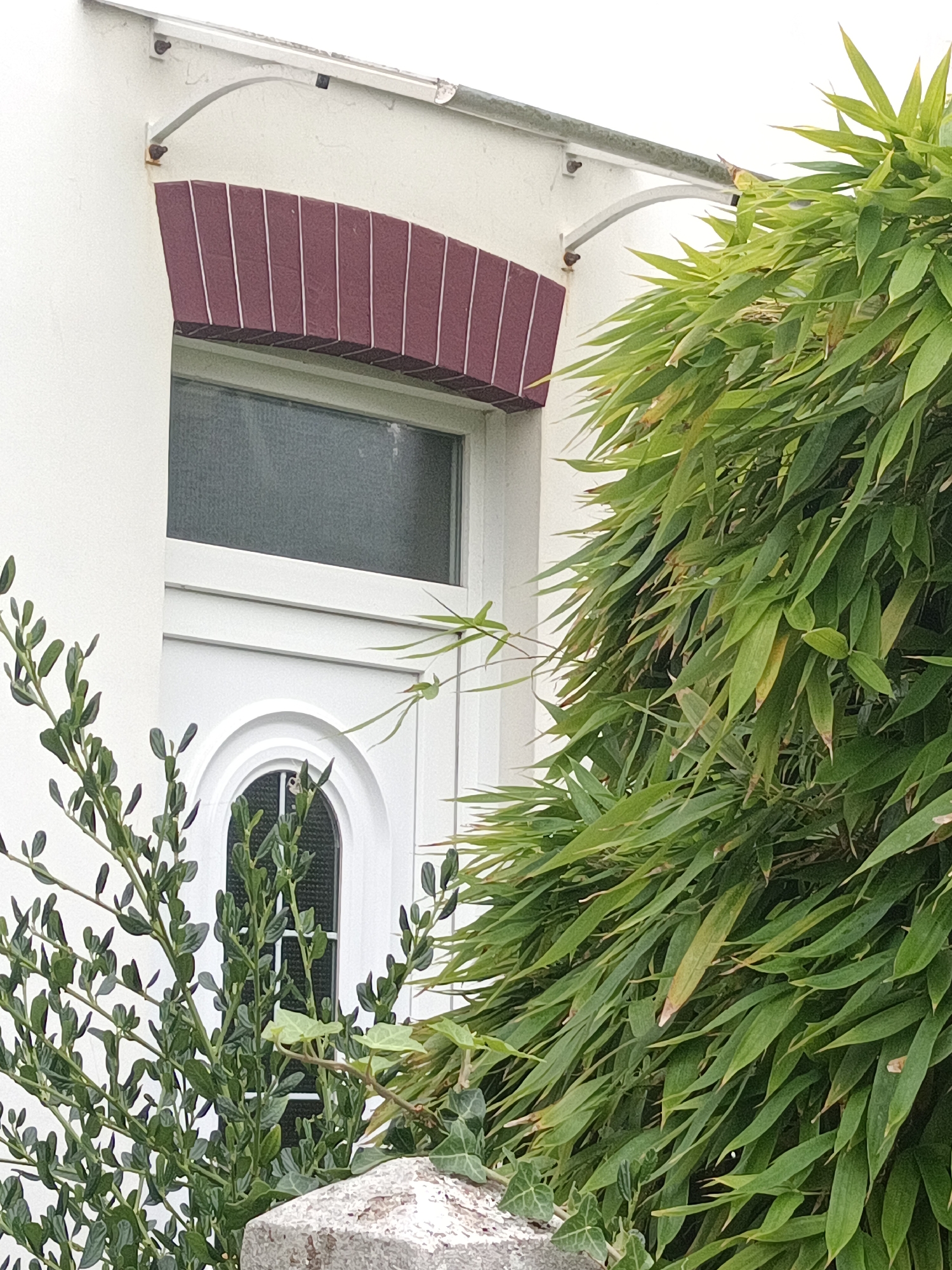 The image shows a close-up view of a white door with a decorative arched window in Houlgate, France. The door is framed by white trim and is partially obscured by lush green foliage, including bamboo on the right and a smaller leafy plant on the left. Above the door, there is a window with a dark, textured pane, and an arched decorative element with burgundy and white stripes. An arched metal bracket extends from the building to support an overhang above the window. The building exterior is painted a rough white stucco. A stone pillar is visible in the foreground.