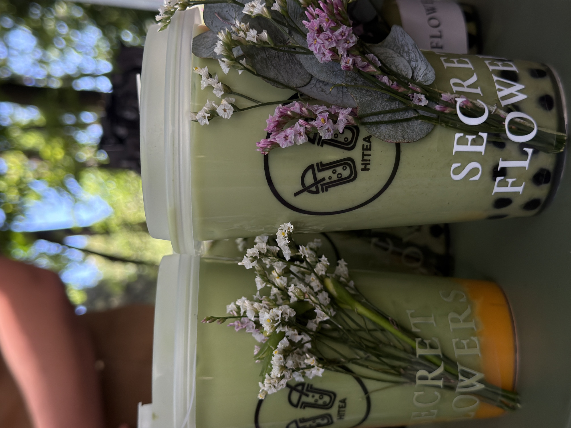 The image shows two cups of boba tea from the "HiTea Secret Flowers" establishment. The tea is a light green color, one cup containing black boba pearls and the other having an orange layer at the bottom. Small dried flowers, including white and lavender varieties, are arranged around the cups. The setting is likely outdoors, possibly in Bishkek City, Kyrgyzstan, based on the tea establishment's location. A blurred background indicates a natural environment with trees and foliage. Part of a person's arm is visible in the lower left corner.