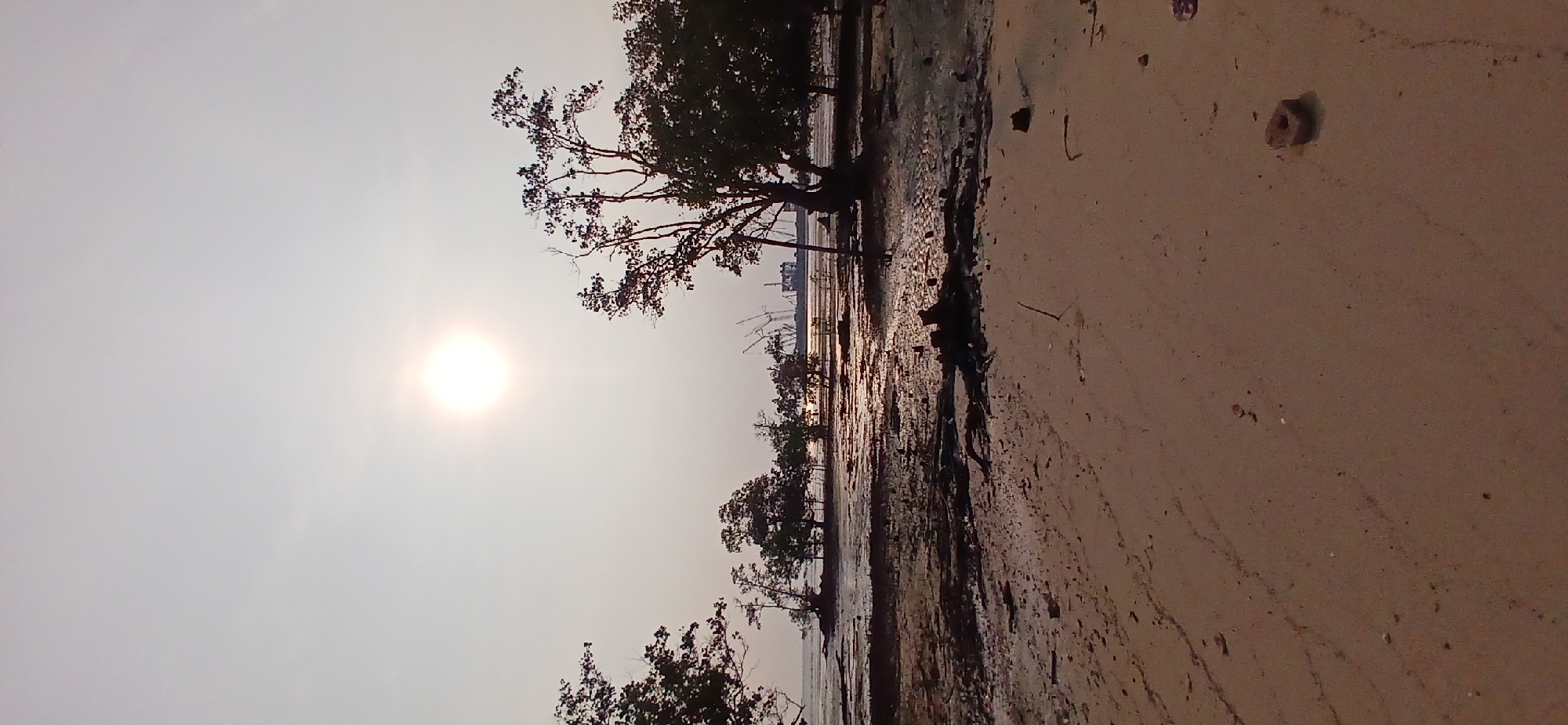 The image depicts a scenic view of a beach at low tide in Tanjung Balai Karimun, Indonesia. The sun is high in the sky, casting a bright glare and creating a reflective sheen on the wet sand and shallow water. Silhouetted trees dot the landscape, some standing on the exposed seabed, while others form a denser cluster in the middle ground. In the distance, industrial cranes and structures suggest the presence of a port or construction site. The foreground is dominated by sandy terrain with scattered debris, including driftwood and a brick. The overall impression is one of a natural coastal environment interacting with industrial development.