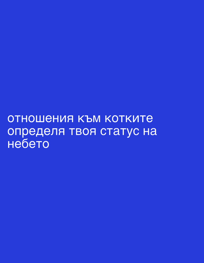The image is a simple graphic featuring white text on a solid royal blue background. There are no people, objects, or specific scenes depicted. The text, written in Cyrillic script, is positioned on the lower left side of the frame and reads:
"отношения към котките
определя твоя статус на
небето"
This translates to:
"relationships with cats
determines your status in
heaven"
The quote suggests a humorous or philosophical take on how one's treatment or attitude towards cats might influence their afterlife status. There are no visual cues for time of day, weather, or specific emotions other than what the text might evoke (e.g., amusement, contemplation for cat lovers). The image itself provides no location cues, but the context provided indicates it is associated with Rakovski, Bulgaria.