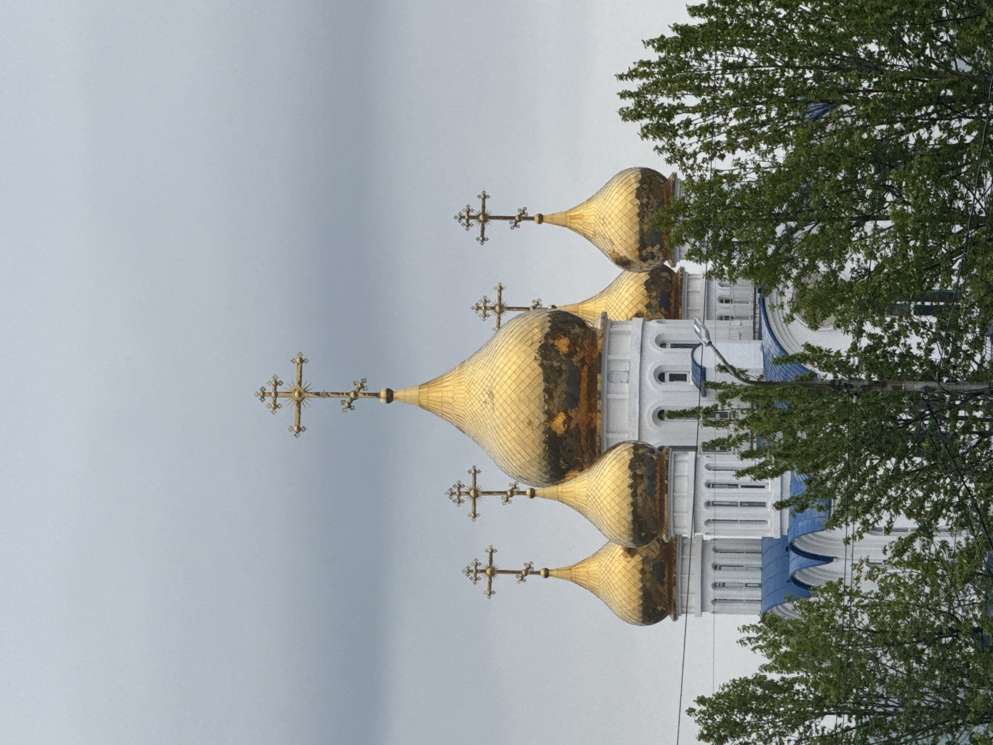 An exterior, medium shot, captures the upper portion of a large, white, domed religious building with a blue roof and gold domes, partially obscured by green foliage. The sky is overcast and gray. Five gold domes, each topped with a gold cross, are visible. The central dome is the largest and is positioned higher than the others. There are at least three smaller domes to the left and right of the central dome, and another smaller dome is partially visible further to the right. The building's white facade features arched windows. The foliage in the foreground consists of dense green trees. The overall impression is of a serene, grand structure set against a muted sky.