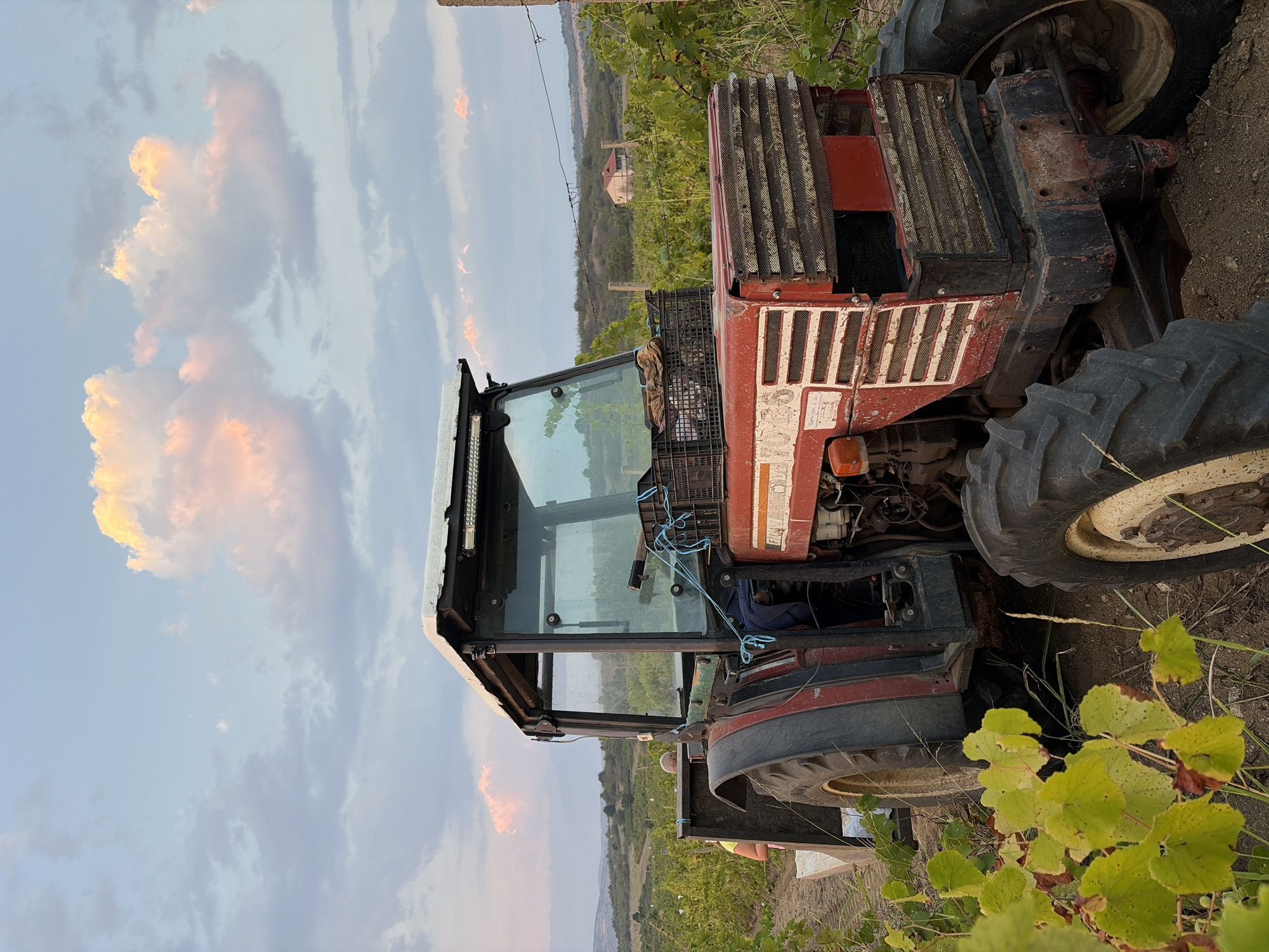 In Razhdak, Bulgaria, a red tractor with a black cab is parked in a vineyard. The tractor is positioned on a dirt path, with rows of grapevines stretching into the background. The cab has large glass windows, and a white roof with lights. A black crate filled with items, possibly harvested grapes, is placed on top of the tractor's cab. A person in a yellow shirt is partially visible next to the front left tire of the tractor, interacting with a white container. In the distance, rolling hills covered in vegetation and a small house are visible under a sky with scattered pink and orange clouds. The overall lighting suggests late afternoon or early evening.