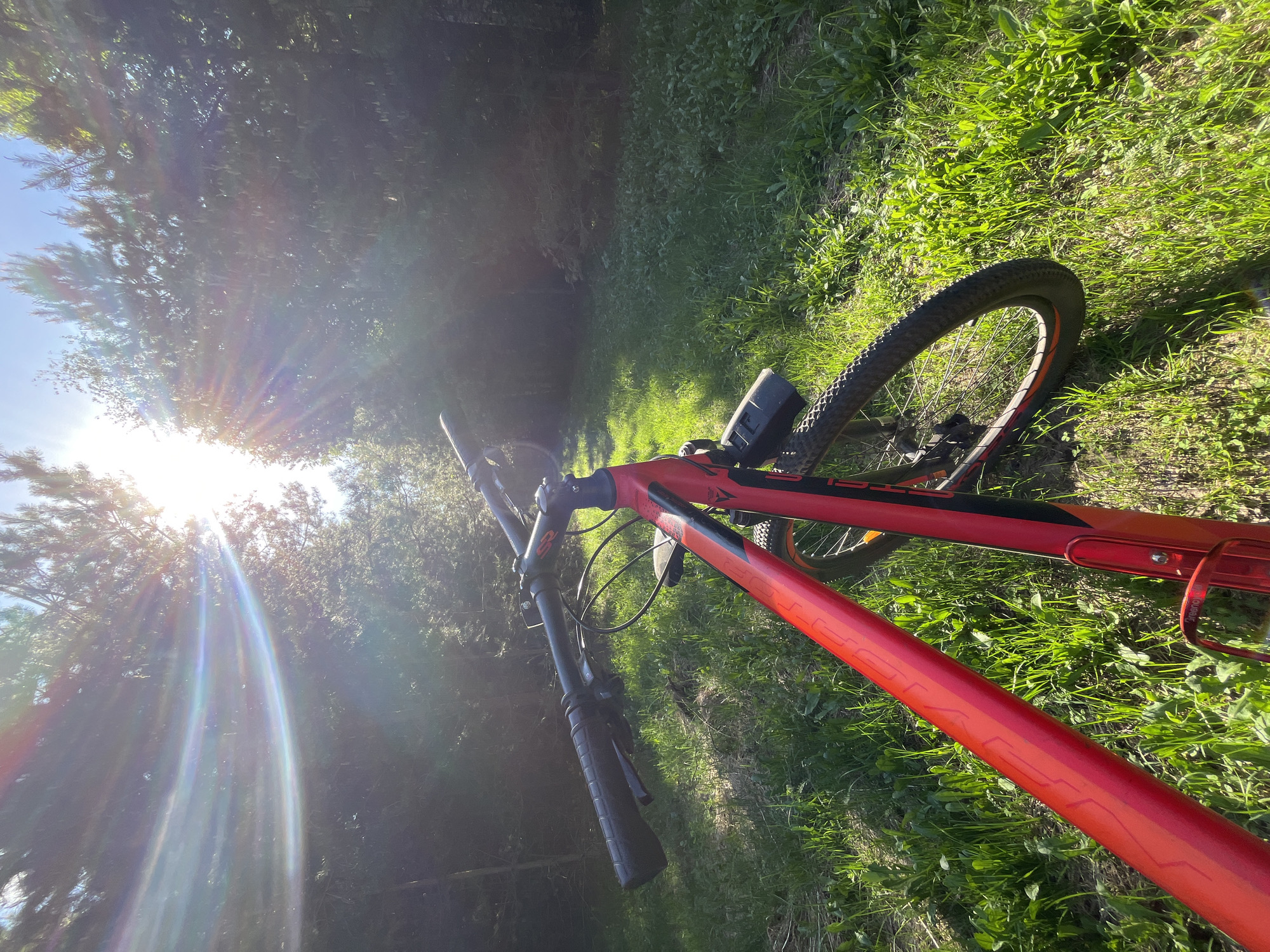 A low-angle, sun-drenched outdoor shot presents a red mountain bike partially resting on lush green grass. The bike is angled into the frame from the bottom right, with its front wheel and handlebars pointed towards the left, where the sun shines brightly through the trees. The location appears to be a grassy area adjacent to a forested area, possibly in Chaikovsky, Russia. The intense sunlight creates strong lens flare and visual obstruction in the upper left portion of the frame.