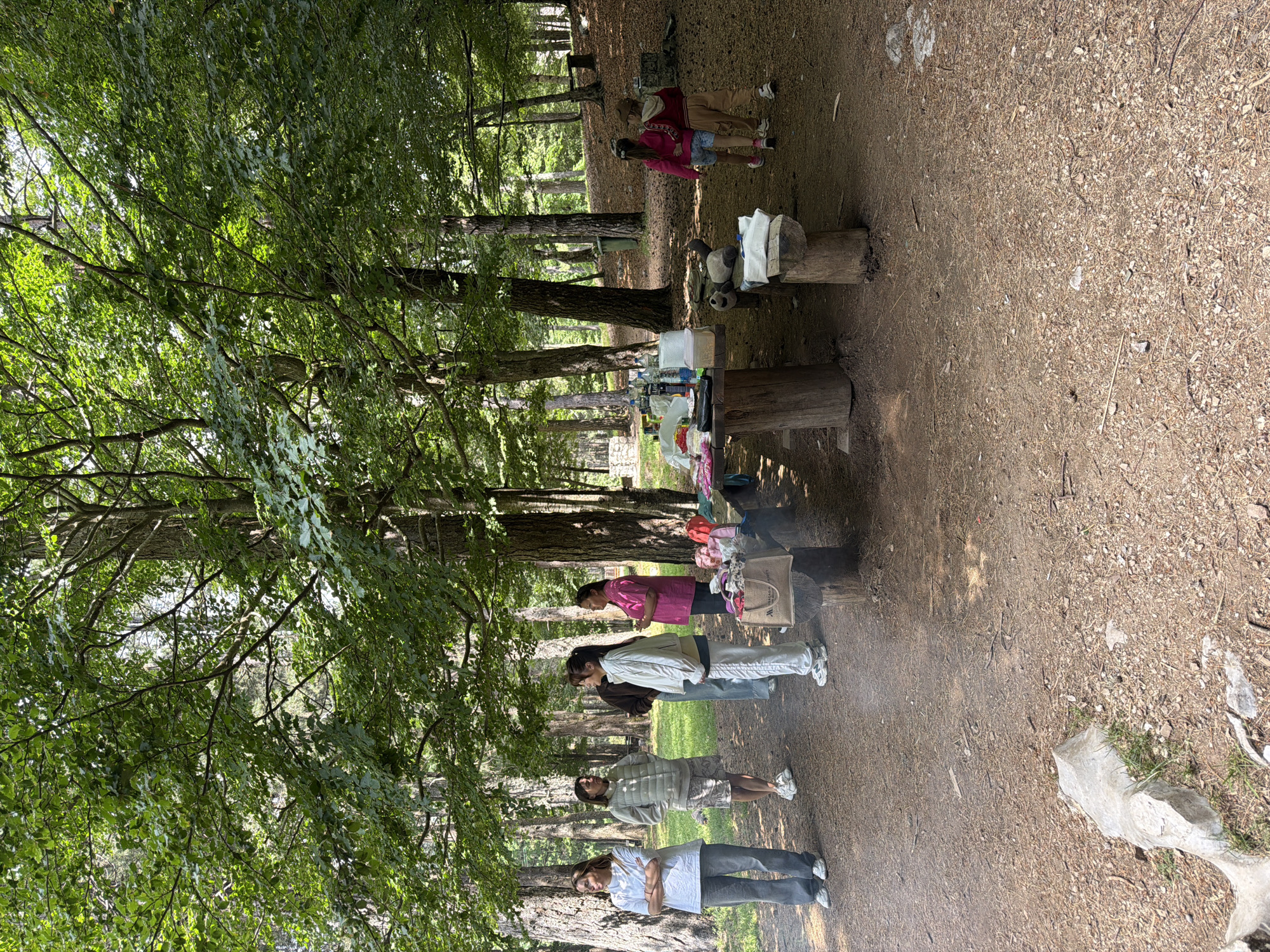 The image captures an outdoor gathering in a forested area, likely in Mali Bostur, Montenegro. The scene is illuminated by bright daylight, suggesting a clear and pleasant day.
In the midground, a group of five adults, primarily women, are standing around a wooden picnic table and a tree stump used as a surface. The table is set with various items including plastic containers, beverage bottles, cups, and plates, indicating a picnic or meal in progress. One person in a bright pink top stands closest to the table, facing left. The other individuals are dressed in casual wear, such as a white jacket, patterned shirts, and jeans, and appear relaxed. A light-colored tote bag with an indistinct logo or text is visible near the table.
Further into the background, two additional individuals, appearing younger (one in a red top and the other in a light hoodie), are also standing among the trees. The environment is characterized by numerous tall trees with rich green foliage, providing significant shade. The ground is a natural mix of dirt, fallen leaves, pine needles, and small stones. The overall atmosphere suggests a casual and social outdoor event in a serene natural setting.