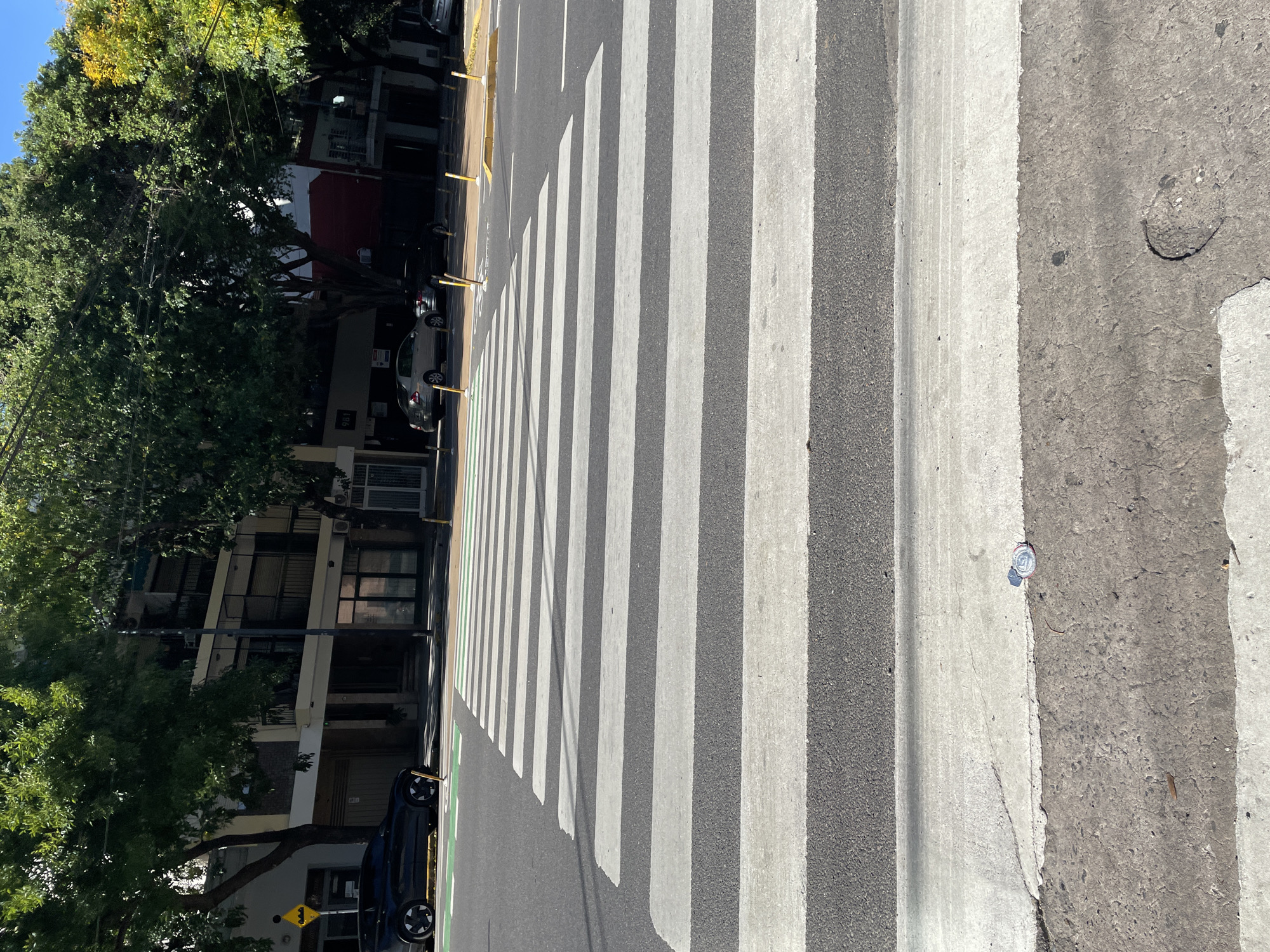 The image depicts a crosswalk in Buenos Aires, Argentina. The crosswalk stripes are white, and the road is asphalt. A building is visible on the left side of the image, partially obscured by trees. Cars are parked along the street. A piece of trash is visible on the sidewalk to the right. The perspective is from eye-level.