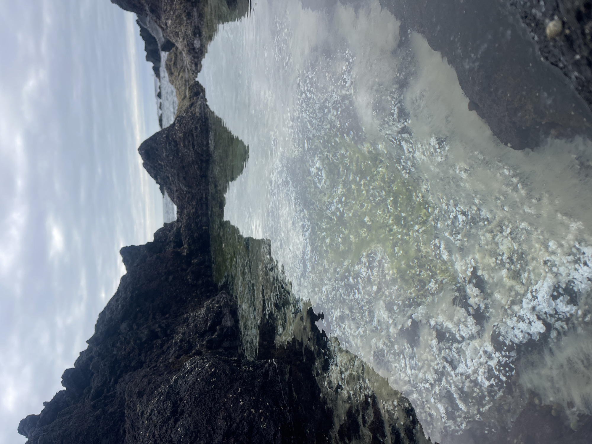 The image depicts a tide pool among dark, jagged rocks in Lagoa (Nossa Senhora do Rosário), Portugal. The pool reflects the cloudy sky above. The water appears clear, revealing some algae or plant life underneath. The rocks are dark and rough, suggesting volcanic origin. There are no people or signs of human activity visible other than the pool itself.