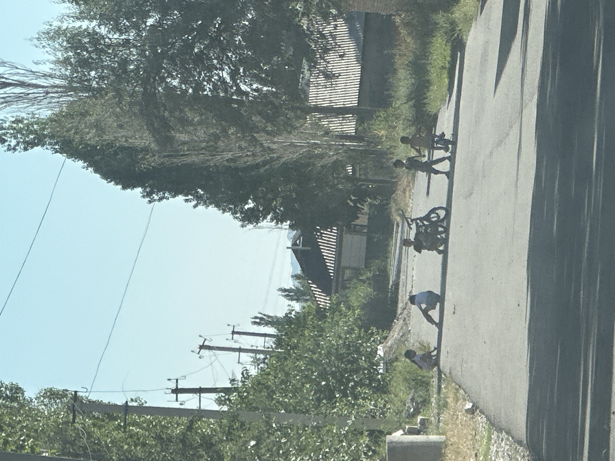 A group of children are playing on a paved road next to a grassy area with trees. There are several bicycles scattered on the side of the road. In the background, there are buildings with striped roofs and utility poles with wires. The sky is clear and blue, suggesting a sunny day. The scene appears to be in a rural or suburban area, possibly in Тайгараев, Kyrgyzstan, given the context. The children's activity suggests a casual, recreational moment.