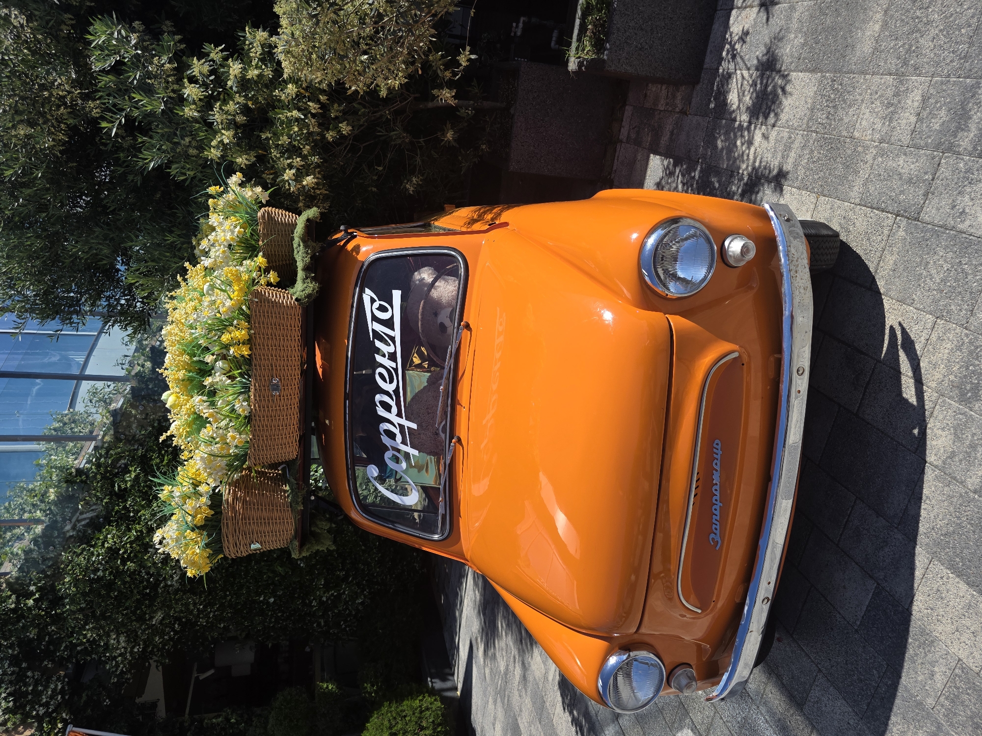 An orange vintage ZAZ-968 vehicle, bearing the Cyrillic inscription "Запорожець" on its front grille, is parked outdoors on a gray paver stone surface. Three wicker baskets overflowing with artificial yellow and white flowers, along with green moss, are secured on a roof rack. The word "Сорренто" is written in white cursive on the car's windshield. A light brown teddy bear is visible in the driver's seat. The background features dense green foliage, including ivy climbing a building on the left, and various shrubs and trees on the right. A modern building with reflective windows is partially visible through the greenery. The scene is brightly lit by sunlight, casting distinct shadows on the paving. This display is located in Sochi, Russia, specifically associated with the Sorrento restaurant.
