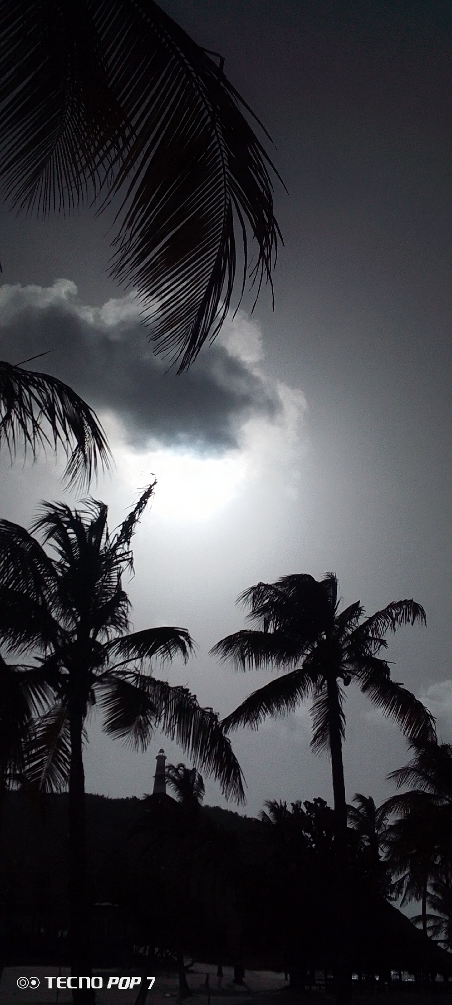 This image captures a scene in Pedro González, Venezuela, depicting silhouetted palm trees against an overcast sky. A building, presumably a lighthouse, is also silhouetted in the background. The darkness suggests either night or a very overcast day. The environment looks like a beach. "TECNO POP 7" appears at the bottom left corner. There are no discernible people or interactions visible.