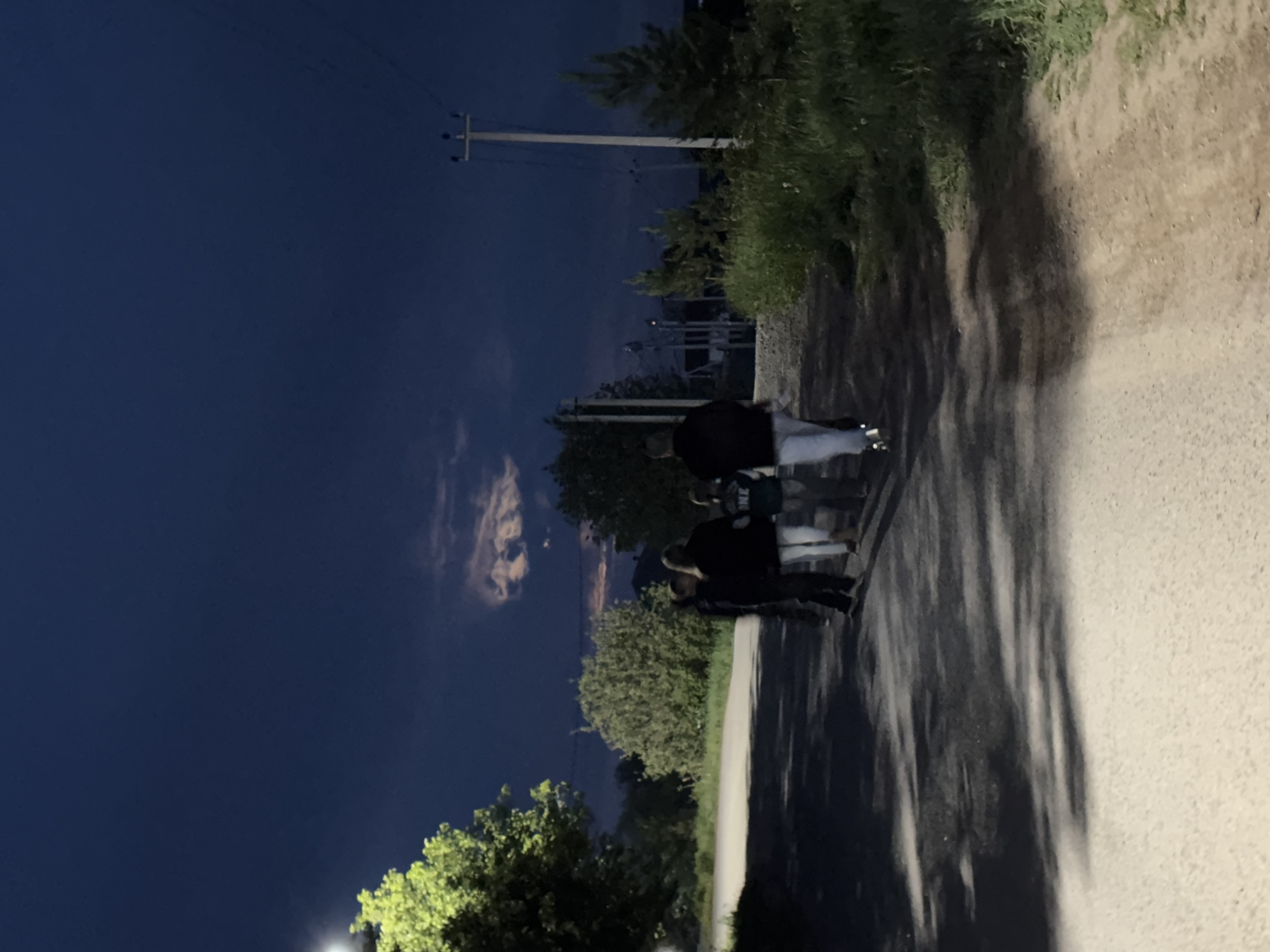 The image depicts an unlit road in Горный, Russia at night. A group of four people walk along the road's right side, casting long shadows due to a light source behind the camera. The road is bordered by vegetation on the right and trees on the left. Utility poles are visible in the background. The sky is dark with scattered clouds.