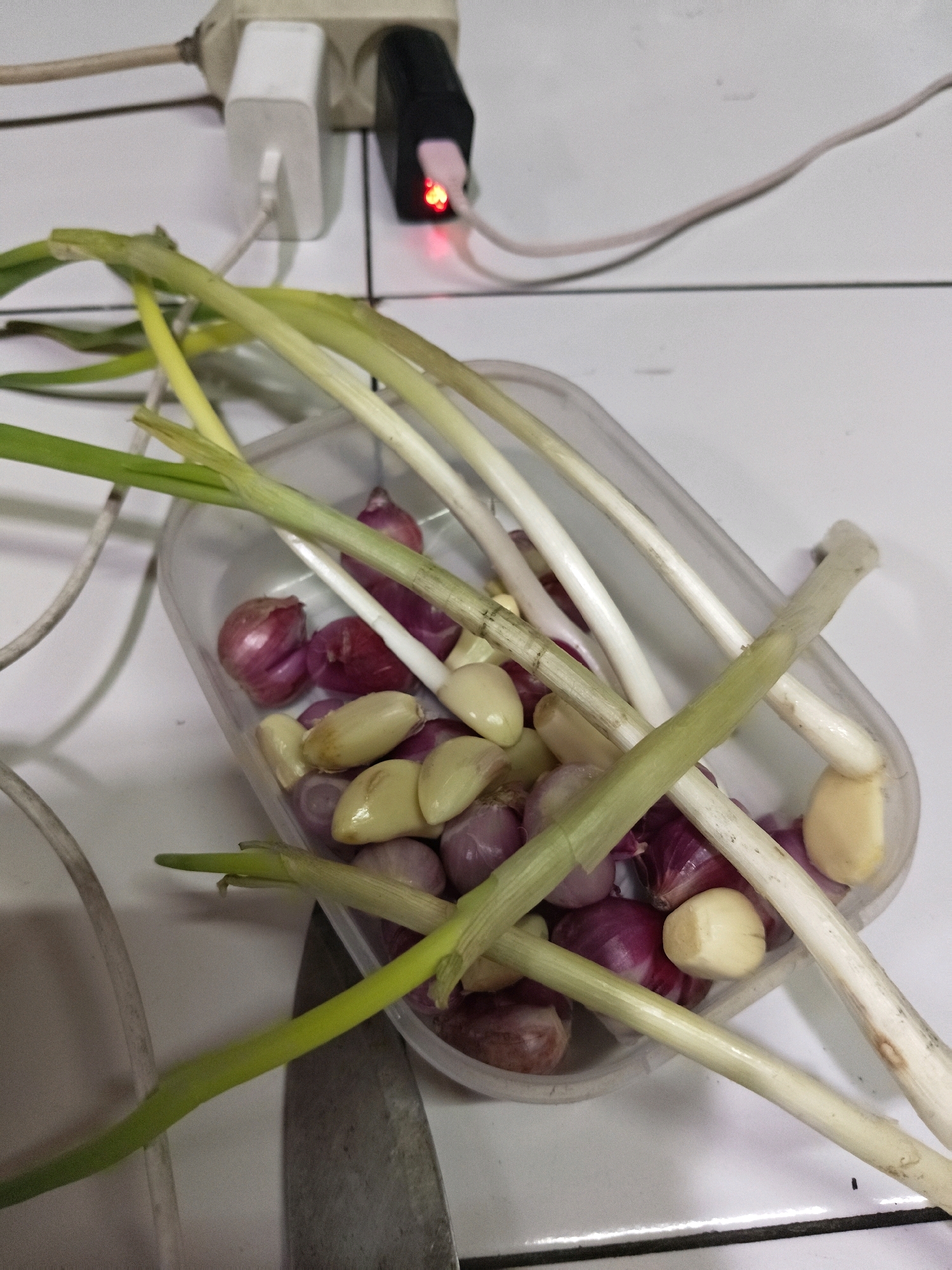In Sumberwono, Indonesia, a clear plastic container filled with red onions and garlic cloves sits on a white tiled surface. Several stalks of green onions are laid across the container, some extending beyond its edges. In the background, a white electrical outlet with two plugs is visible, one black and one white, with cables connected to them. One of the cables has a pink connector with a red illuminated indicator light. The lighting is artificial, creating a slightly dim atmosphere.