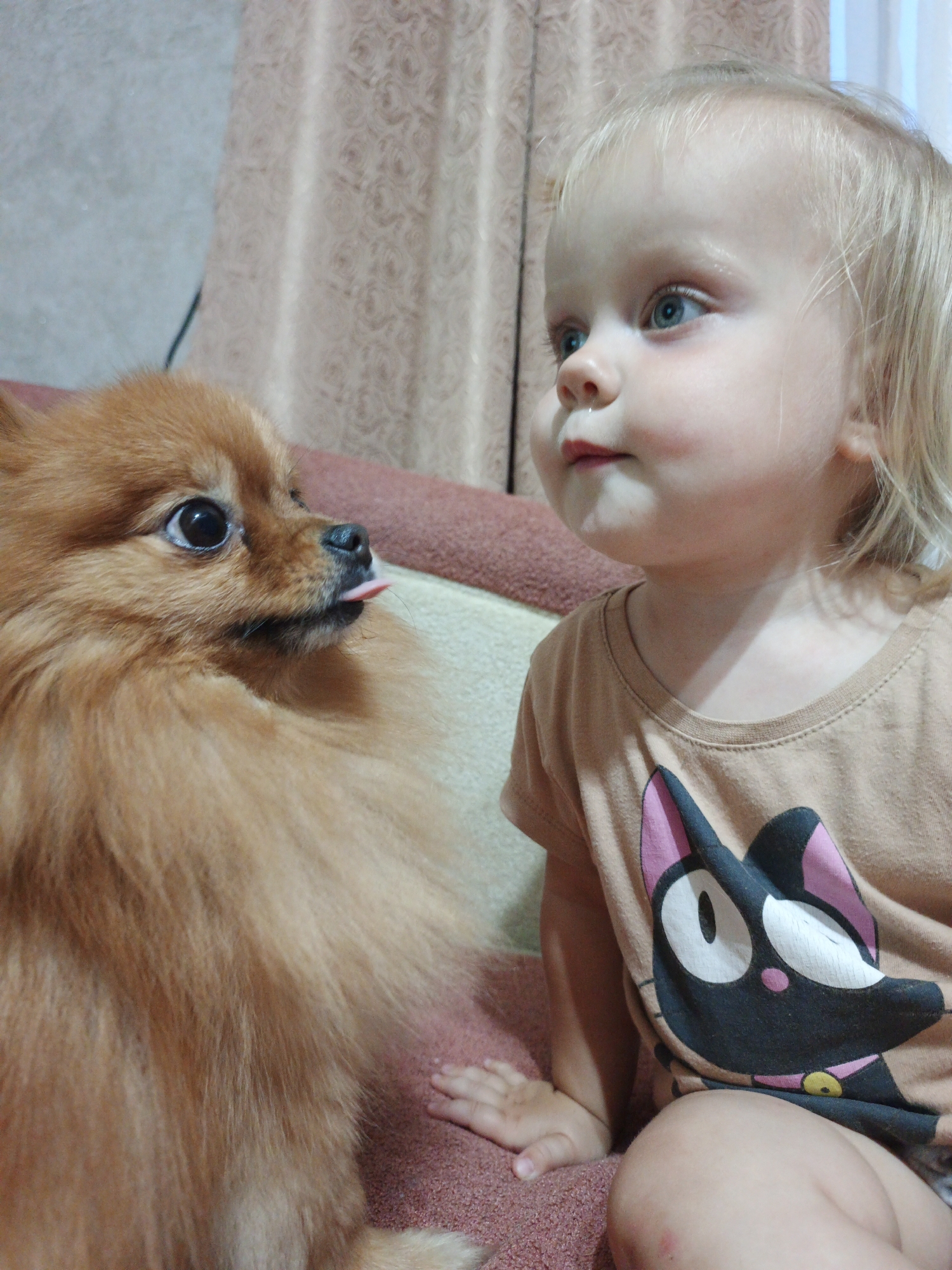 A Pomeranian dog with fluffy orange fur is looking at a young Caucasian child with blonde hair and blue eyes. The dog has its tongue sticking out. The child is wearing a tan t-shirt with a black cat design. They are sitting on a sofa, with a textured curtain in the background. The scene appears to be indoors, possibly in a residential setting in Medvedyovka, Russia.
