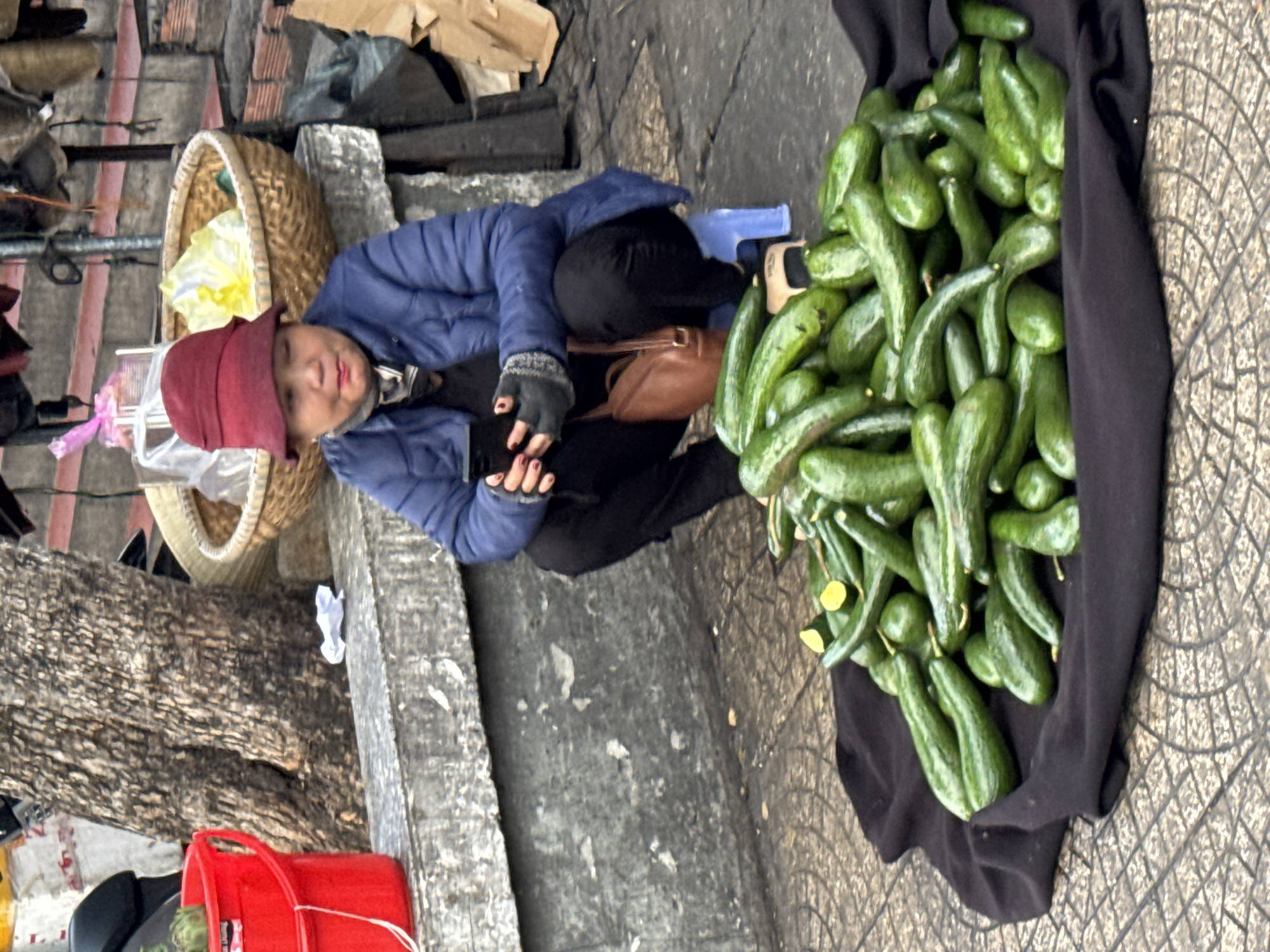 In Da Lat, Vietnam, a woman is crouched on a blue plastic stool on a paved sidewalk, selling cucumbers. She wears a blue puffer jacket, black pants, a red hat, and grey fingerless gloves. A brown shoulder bag is slung across her body. She is holding a smartphone in her hands, appearing to be in the middle of a transaction or browsing. In front of her, a pile of fresh green cucumbers is laid out on a dark cloth on the ground. Behind her, a large tree trunk stands near a concrete ledge, with a red bucket to the left and a woven basket filled with items to her right. The background shows a staircase and other market elements.