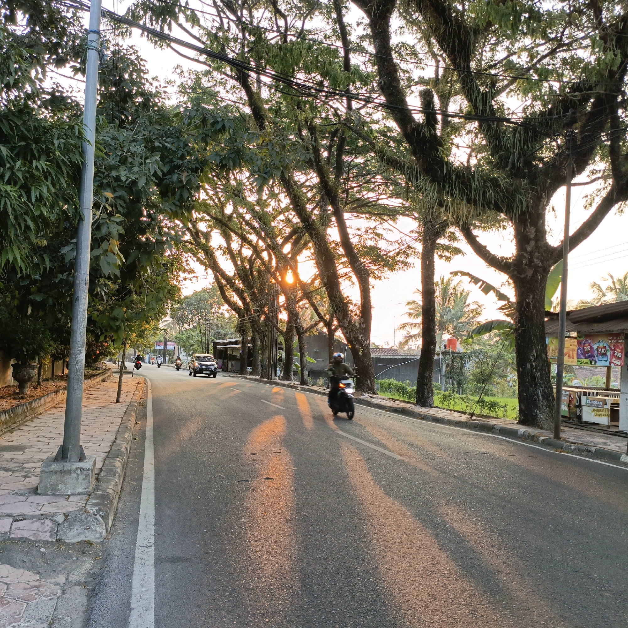 The image depicts a street scene in Salatiga, Indonesia, during golden hour. A paved road runs diagonally from the foreground to the background, lined by a sidewalk on the left and a row of large, mature trees on the right. The setting sun casts long shadows across the road, and its rays filter through the dense foliage of the trees, creating a warm, dappled light.
On the sidewalk, a metal lamppost stands prominently in the left foreground. The sidewalk itself is paved with reddish-brown bricks and edged with concrete. Further down the sidewalk, a stone planter is visible.
The road is a two-lane asphalt surface with a white line marking the center. Several vehicles are present. A silver car is driving in the right lane, and a dark-colored motorcycle with a rider wearing a helmet is moving towards the viewer in the left lane. Further down the road, two more motorcycles are visible in the distance.
The trees lining the right side of the road are substantial and appear to be covered in moss and epiphytic plants, suggesting a humid environment. Their branches create a canopy overhead, with power lines strung between some of them. Beyond the trees, a low concrete wall and green vegetation are visible, indicating the presence of residential or commercial areas. On the far right, a small kiosk or shop structure is partially visible, with signs and what appear to be posters displayed. The sky is a pale orange and pink hue, typical of a sunset. The overall atmosphere is peaceful and serene, capturing the beauty of a tropical evening.