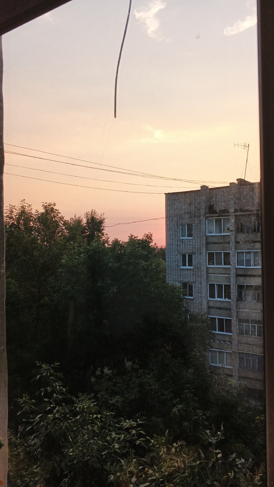 This is a photograph taken from inside a window, looking out at a cityscape at sunset. The sky is a pale orange and pink, with some wispy clouds. A dark, thin, curved line hangs from the top of the frame, possibly a wire or a branch. In the middle ground, a dense canopy of dark green trees obscures much of the view. To the right, a multi-story building constructed of light-colored brick is visible. The building has numerous windows, some with white frames and others with darker frames. An antenna is attached to the roof of the building. The foreground shows a partial view of the interior of the room from which the photo was taken, with a dark frame on the right side of the image. The scene appears to be an urban environment, likely in Izhevsk, Russia, given the architectural style of the building and the presence of trees and utility wires. There are no people visible in the image.