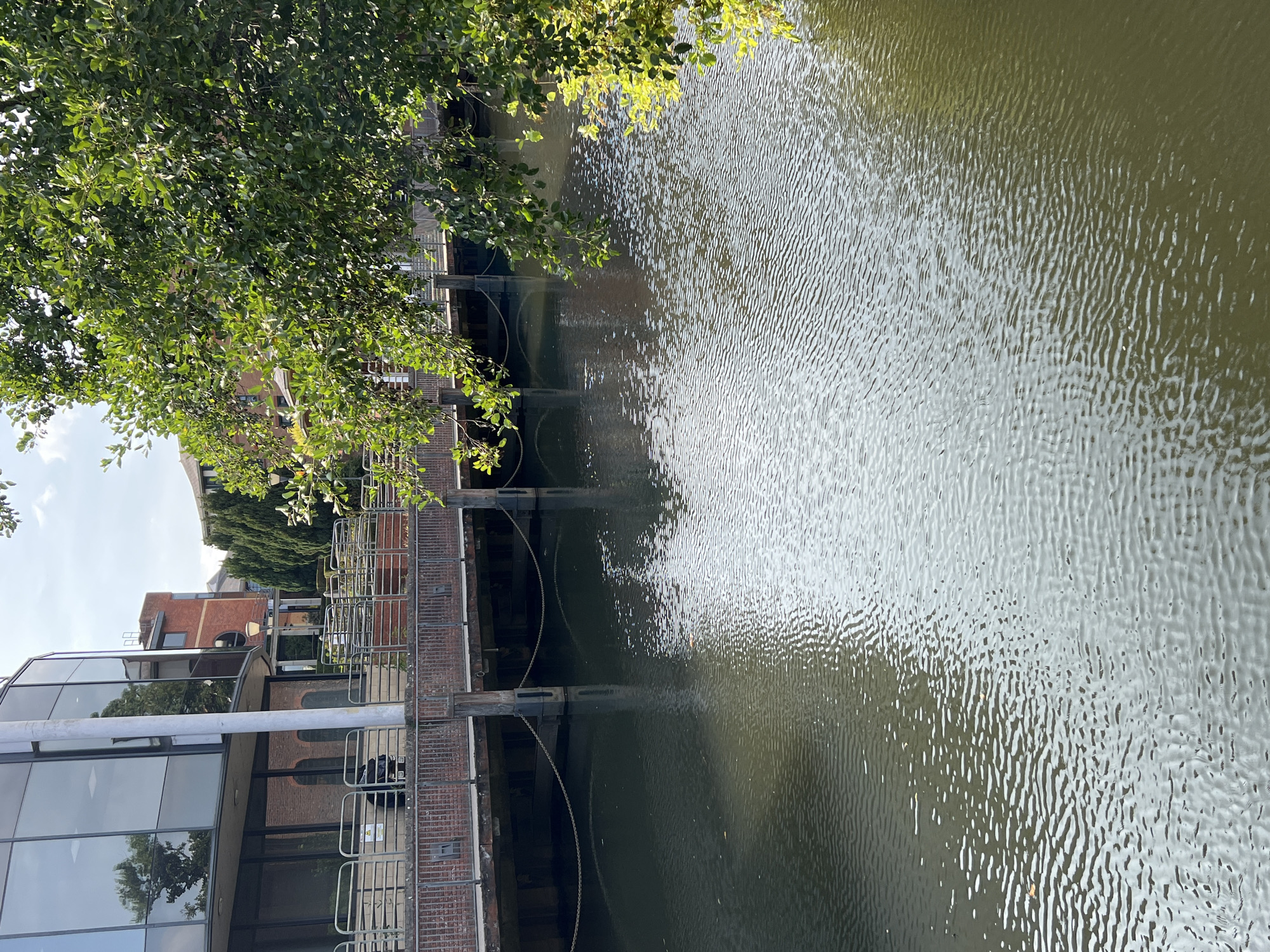 The image shows a view of a canal with a modern building to the left and a lock structure on the right. The canal water is a murky green, reflecting the sunlight and dappled shade from overhead trees. Small ripples on the water's surface suggest a gentle breeze.
On the left, a building with a glass facade and rounded corners is visible. Reflections of trees and the sky are seen in the glass. Behind the glass building, there's a glimpse of a red-brick building with a distinctive round window.
The right side of the image features a canal lock. A brick structure forms part of the lock, with metal railings and supporting posts. Heavy chains hang down from the lock mechanism into the water. Overhanging the scene from the top left are lush green leaves of a tree, with sunlight filtering through them. The lighting suggests it is daytime, likely late morning or early afternoon, with clear skies and bright sunlight.
No people are visible in the image. The scene appears to be a peaceful urban waterfront setting in Guildford, United Kingdom, focusing on the architecture, the canal, and the surrounding greenery. There is no visible text.