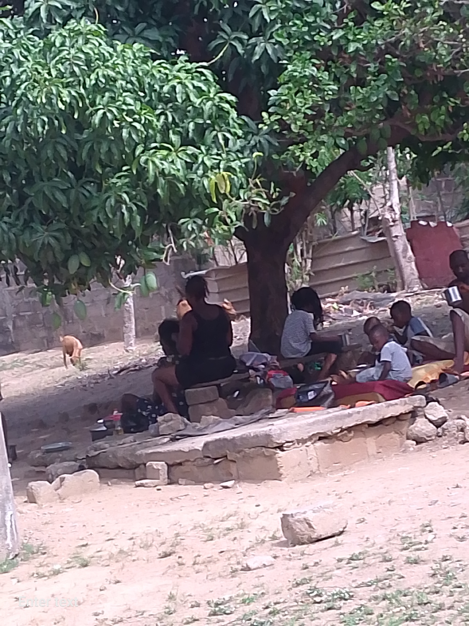 The image depicts an outdoor scene in an unspecified urban location. A group of people, including both adults and children, are gathered under the shade of a large, leafy tree. They appear to be seated or lying on blankets and mats spread on top of a raised concrete or stone platform. Various bags and personal items are scattered around them. In the background, there's a wall and a dog is seen walking in the distance. The ground is predominantly dirt and patchy grass.
